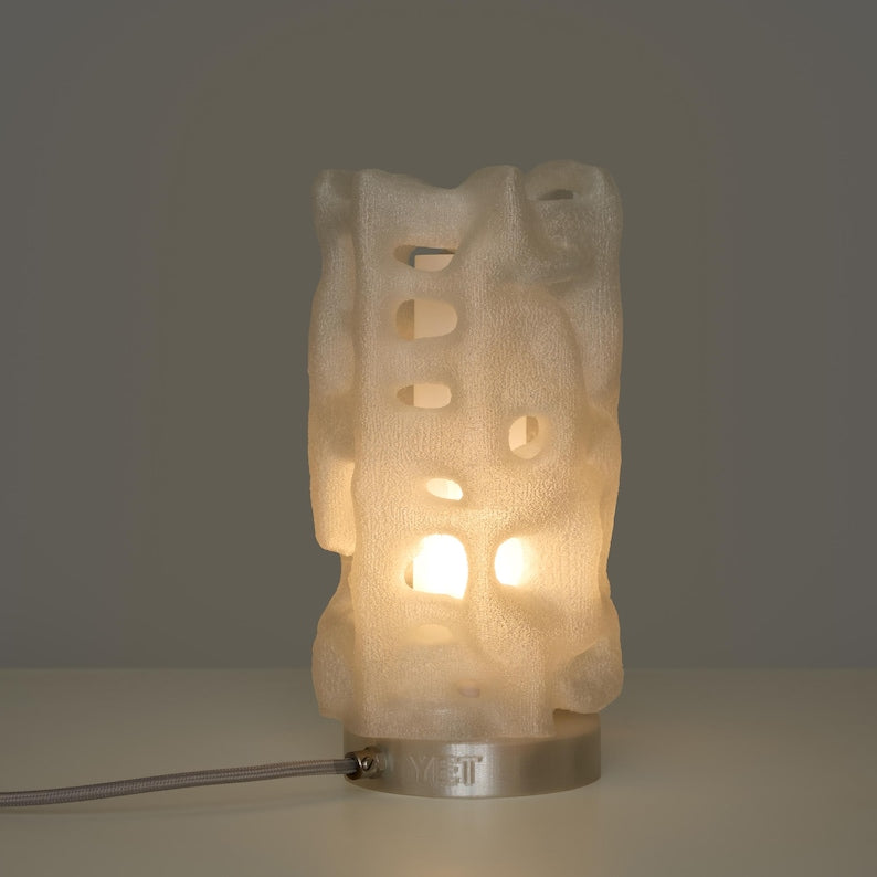 3D-Printed Table Lamp: Coral Inspired Biomorphic Light, Modern Parametric Design