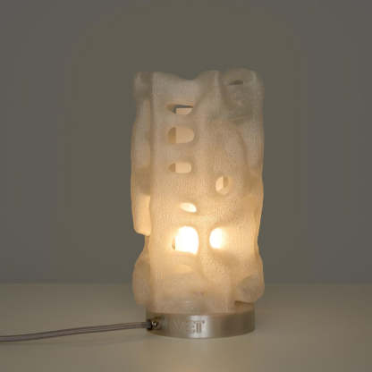 3D-Printed Table Lamp: Coral Inspired Biomorphic Light, Modern Parametric Design