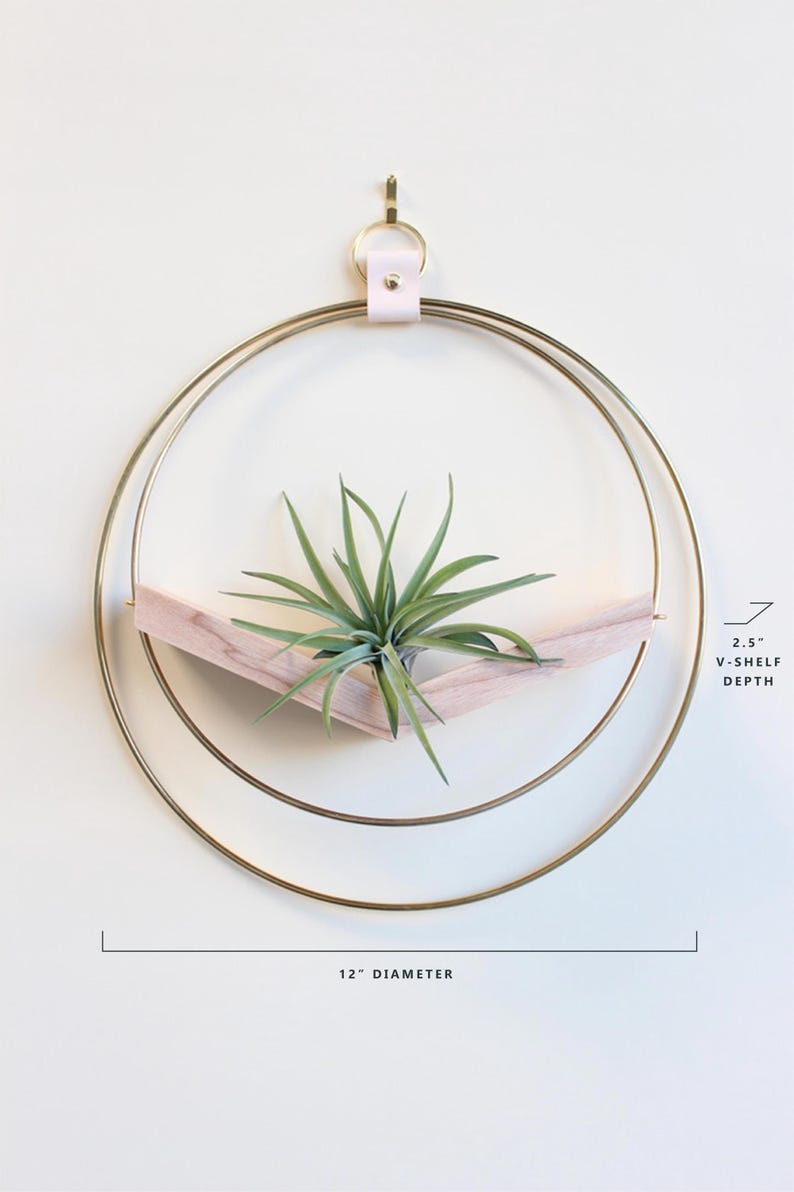 Large Hanging Planter Set (3) - Modern Wall Decor, Home Decor, Wall Mounted Plant Holder, Wall Mounted Planter, Hanging Planter