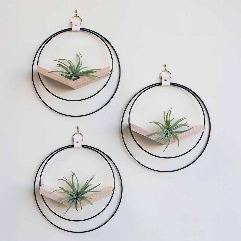Large Hanging Planter Set (3) - Modern Wall Decor, Home Decor, Wall Mounted Plant Holder, Wall Mounted Planter, Hanging Planter