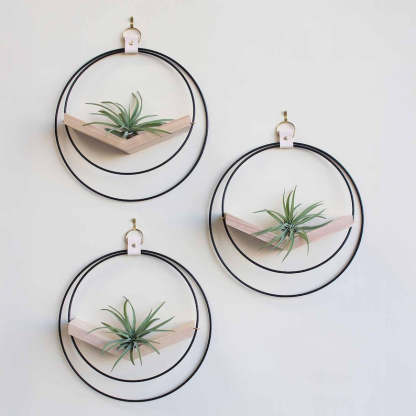 Large Hanging Planter Set (3) - Modern Wall Decor, Home Decor, Wall Mounted Plant Holder, Wall Mounted Planter, Hanging Planter