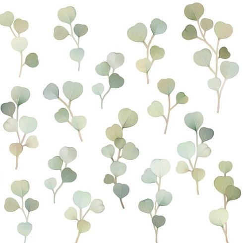 Eucalyptus Branch Wall Decals - Floral Nursery Decor, Leaf Wall Decal, Reusable and Removable Botanical Wall Stickers