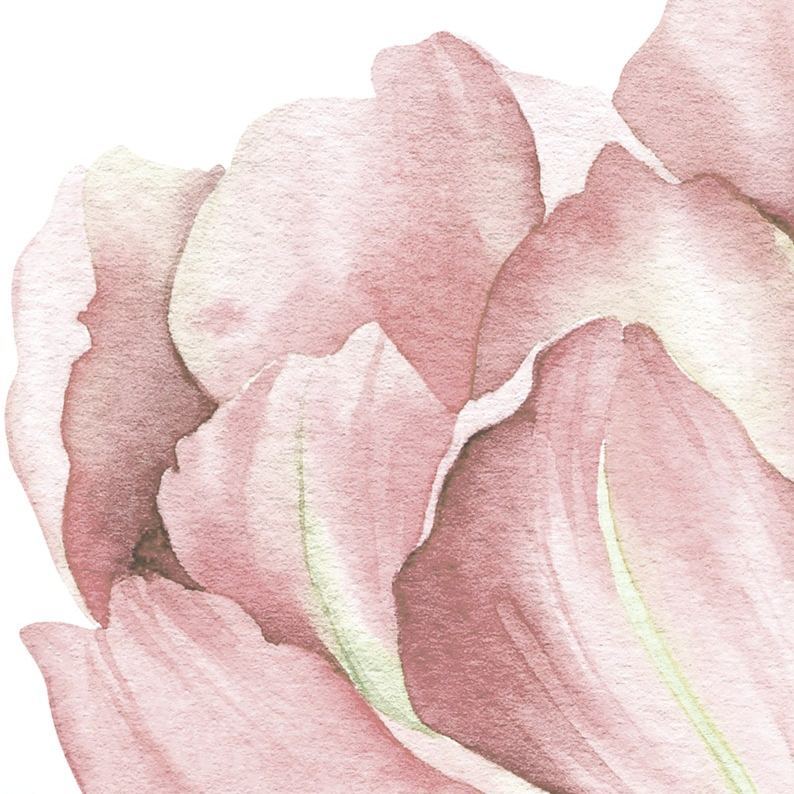 Garden Tulip Wall Stickers, Peel-and-Apply Removable Floral Decoration