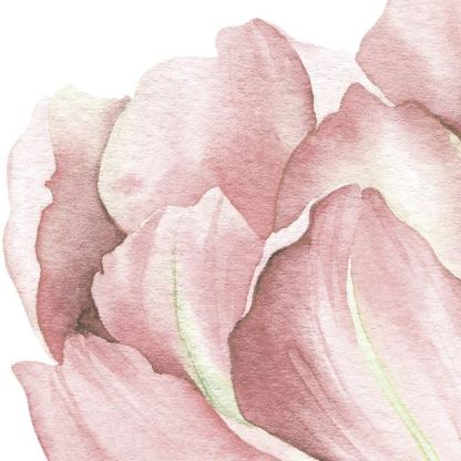 Garden Tulip Wall Stickers, Peel-and-Apply Removable Floral Decoration