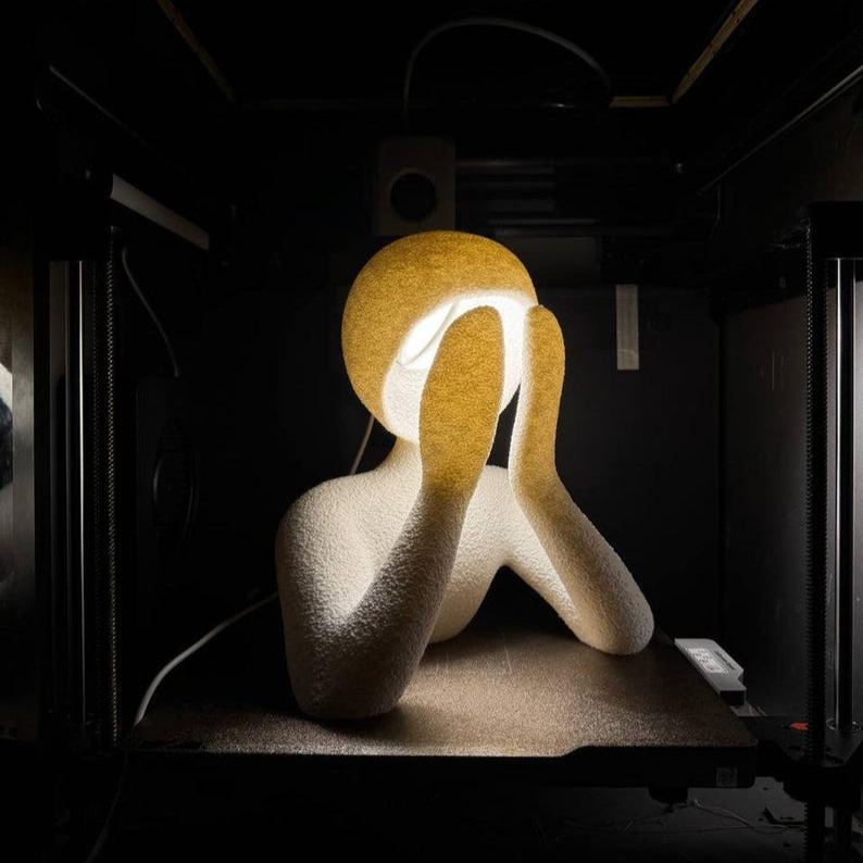 Silent Glow Lamp – 3D Printed Abstract LED Decorative Lamps Sculpture