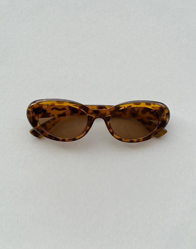 Aldabra Oval Sunglasses in Tortoise Shell-Nico Sky