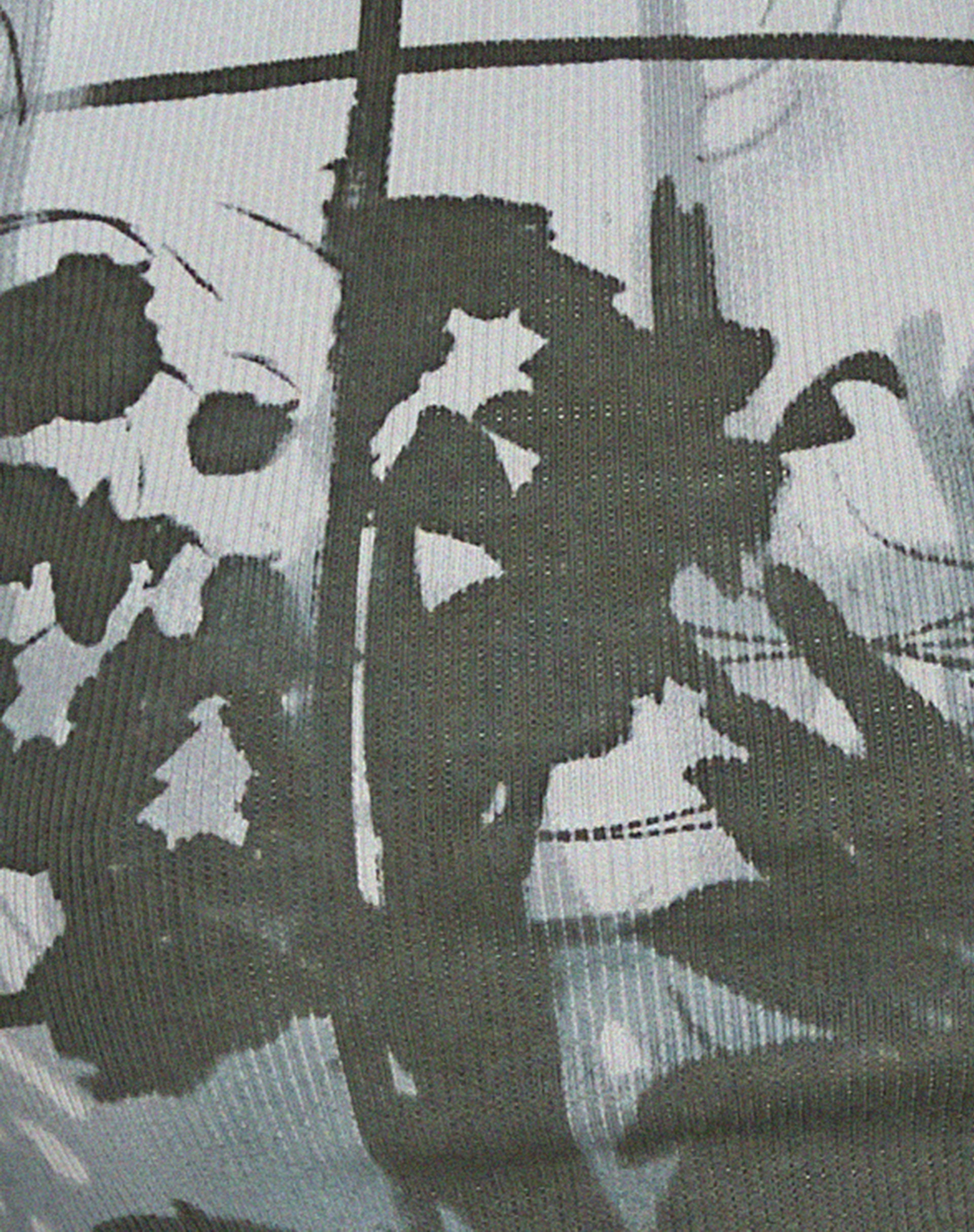 Amabon Long Sleeve Crop Top in Country Window Green-Nico Sky