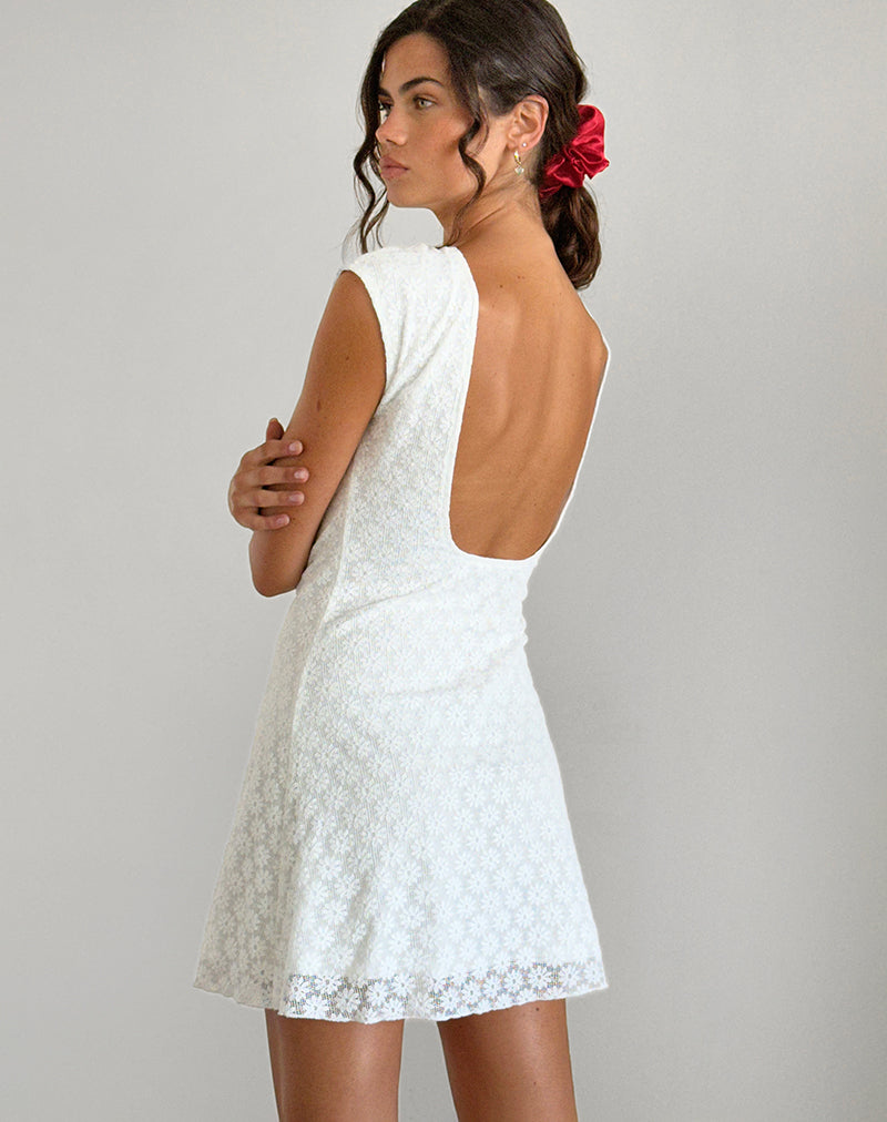 Ambu Mini Dress in Floral Lace Ivory-Nico Sky
