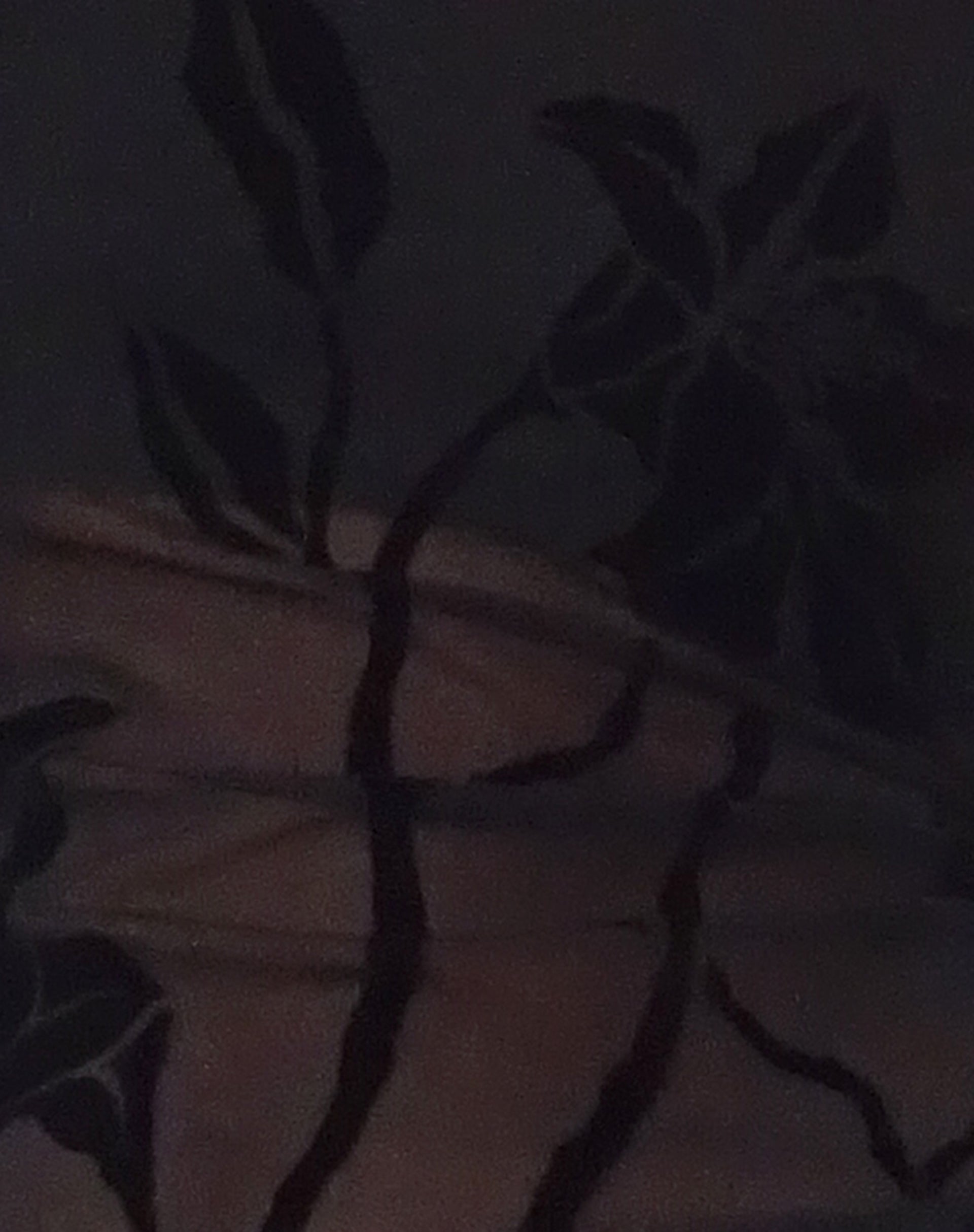 Arabella Halterneck Top in Orchids Flock Black-Nico Sky