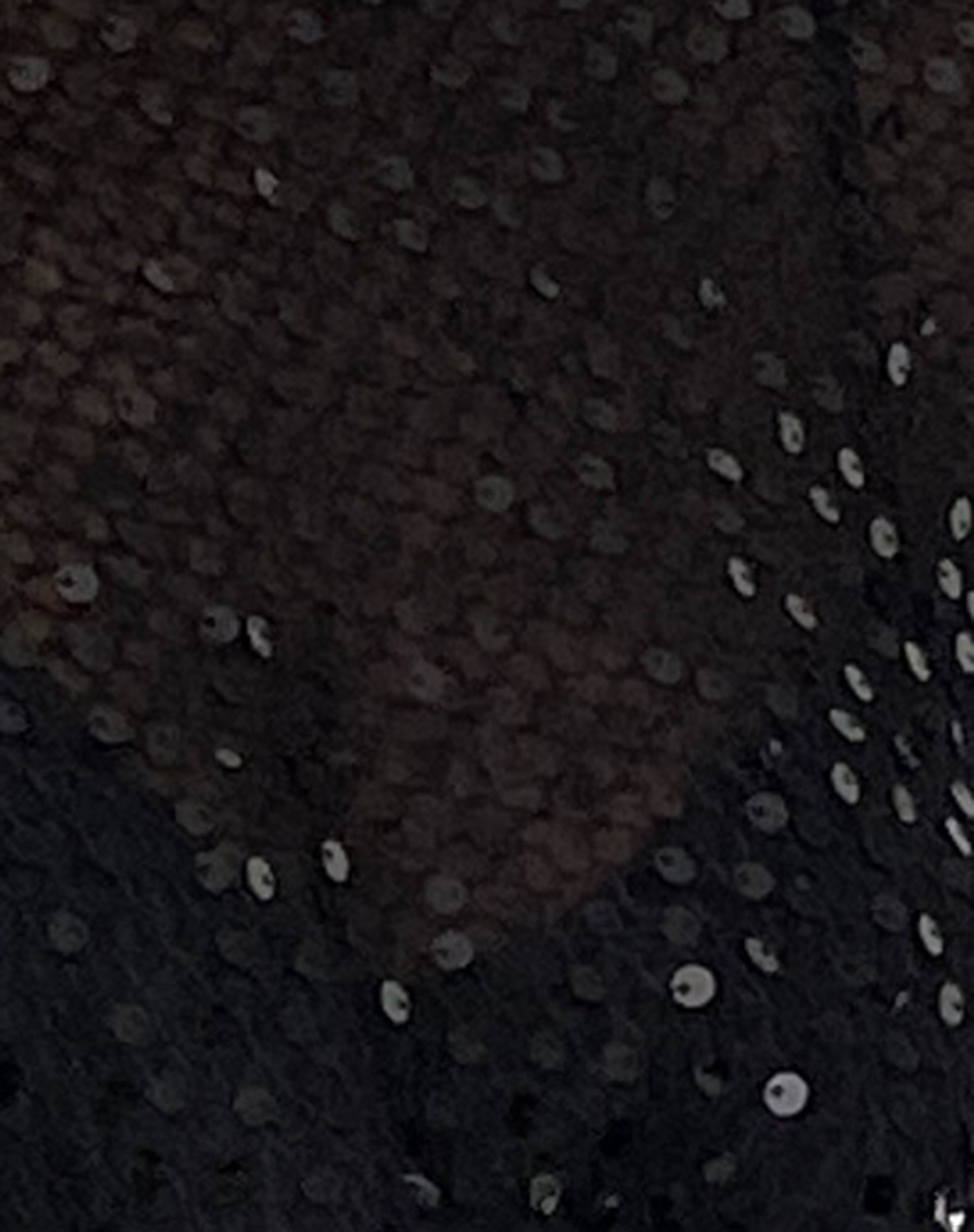 Aridani Unlined Long Sleeve Top in Black Sequin-Nico Sky