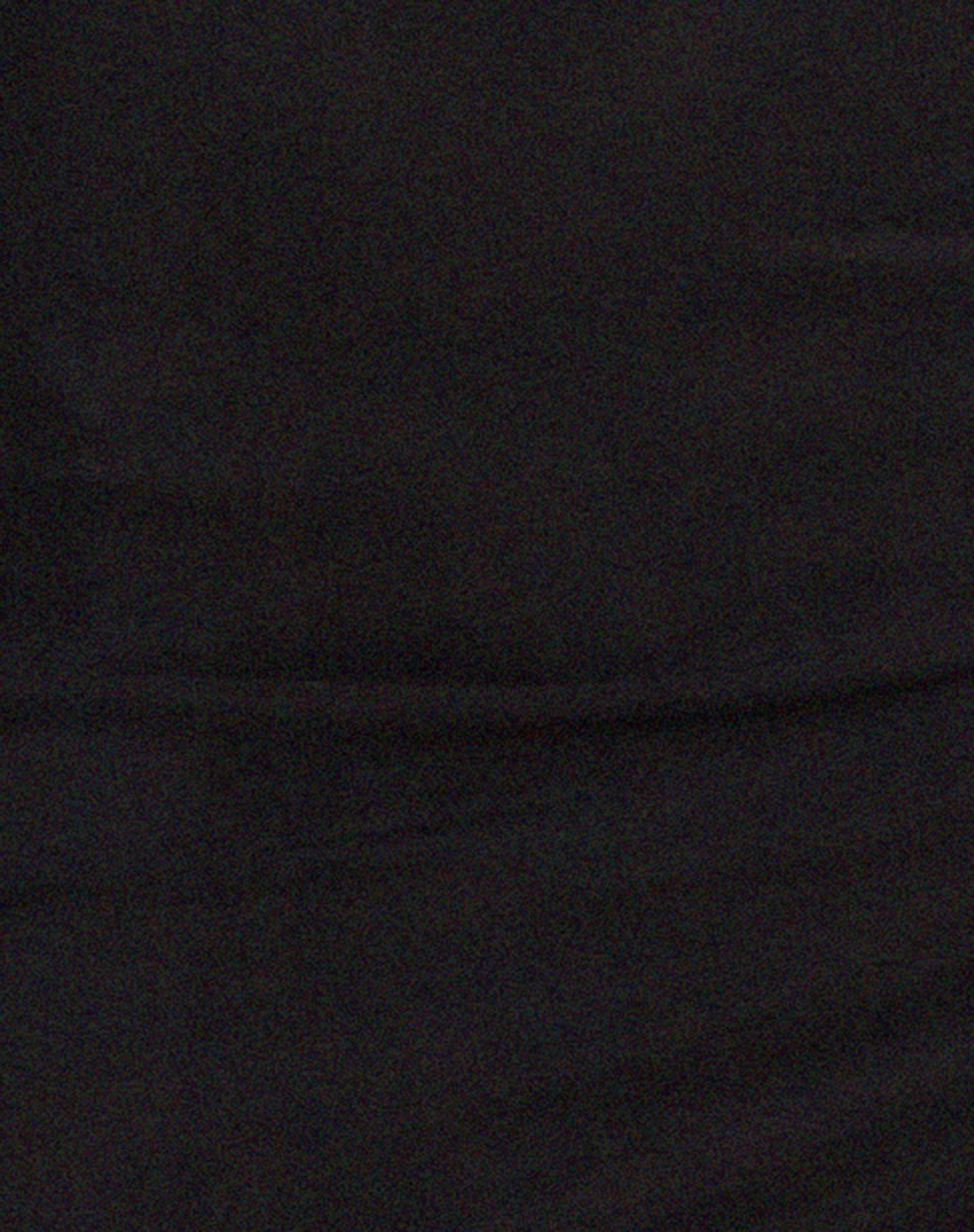 Asmala Halterneck Maxi Dress and Sleeve Set in Black Mesh-Nico Sky