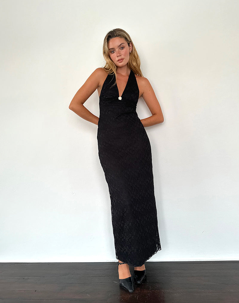 Atma Halterneck Maxi Dress in Canina Lace Black-Nico Sky