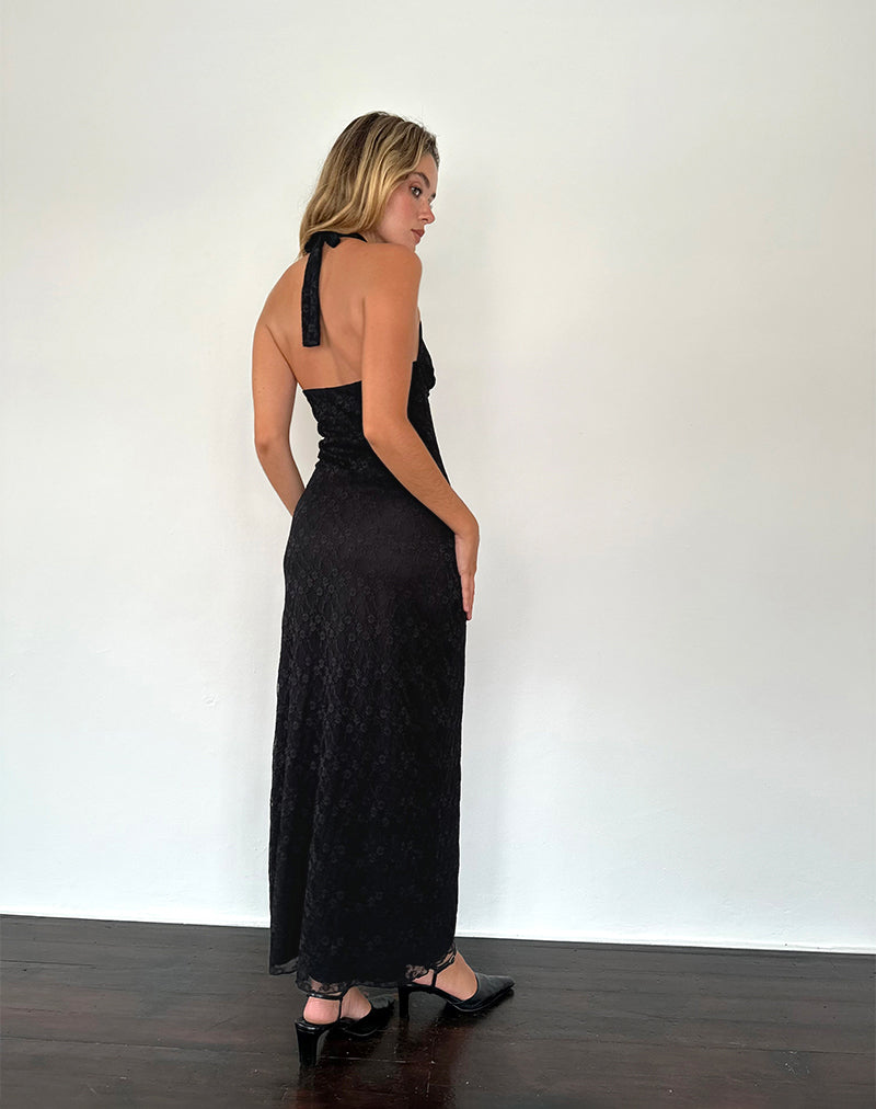 Atma Halterneck Maxi Dress in Canina Lace Black-Nico Sky
