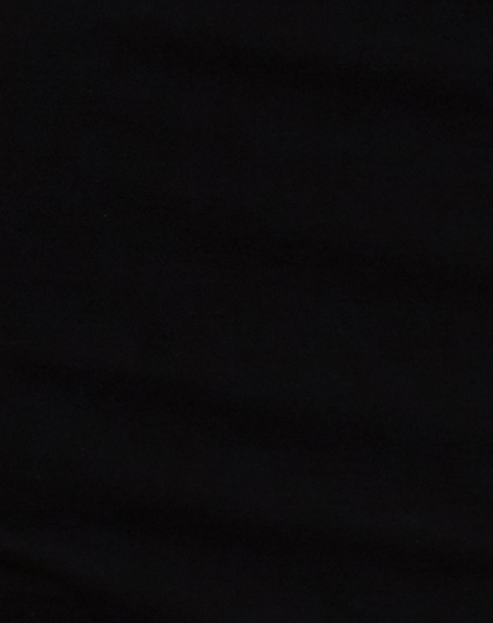 Avya Lace Trim Shrug Top in Lycra Lace Black-Nico Sky