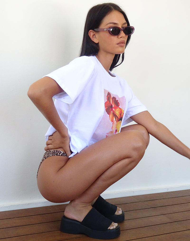 Ametra Oval Sunglasses in Opaque Purple-Nico Sky