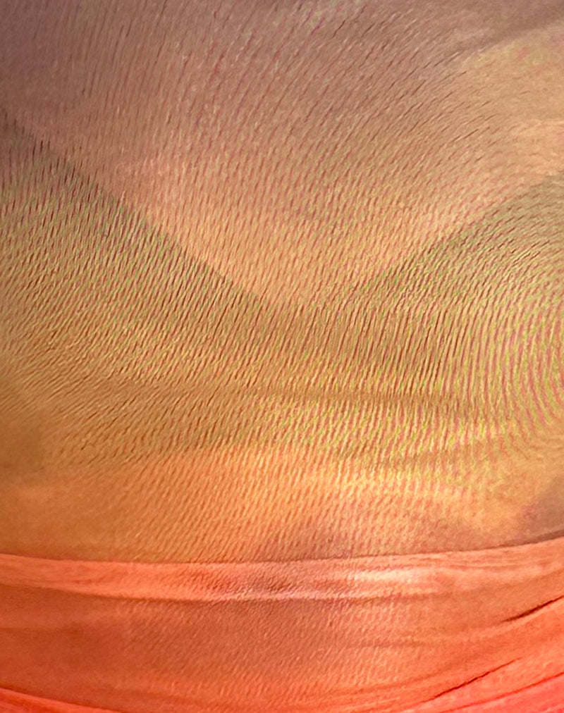 Bastille Top in Mesh Printed Orange Sunset-Nico Sky