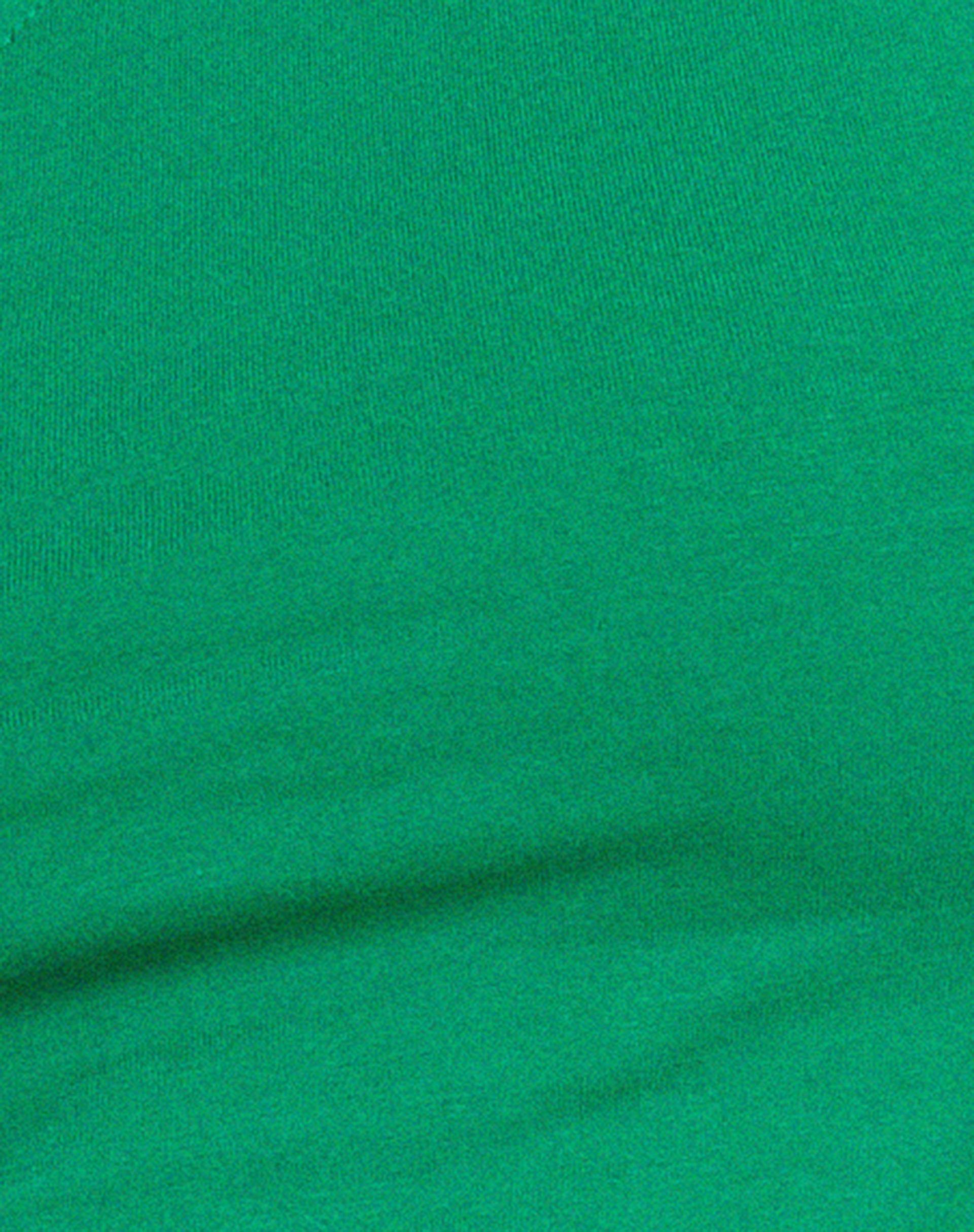 Baylee Crop Top in Bush Green-Nico Sky