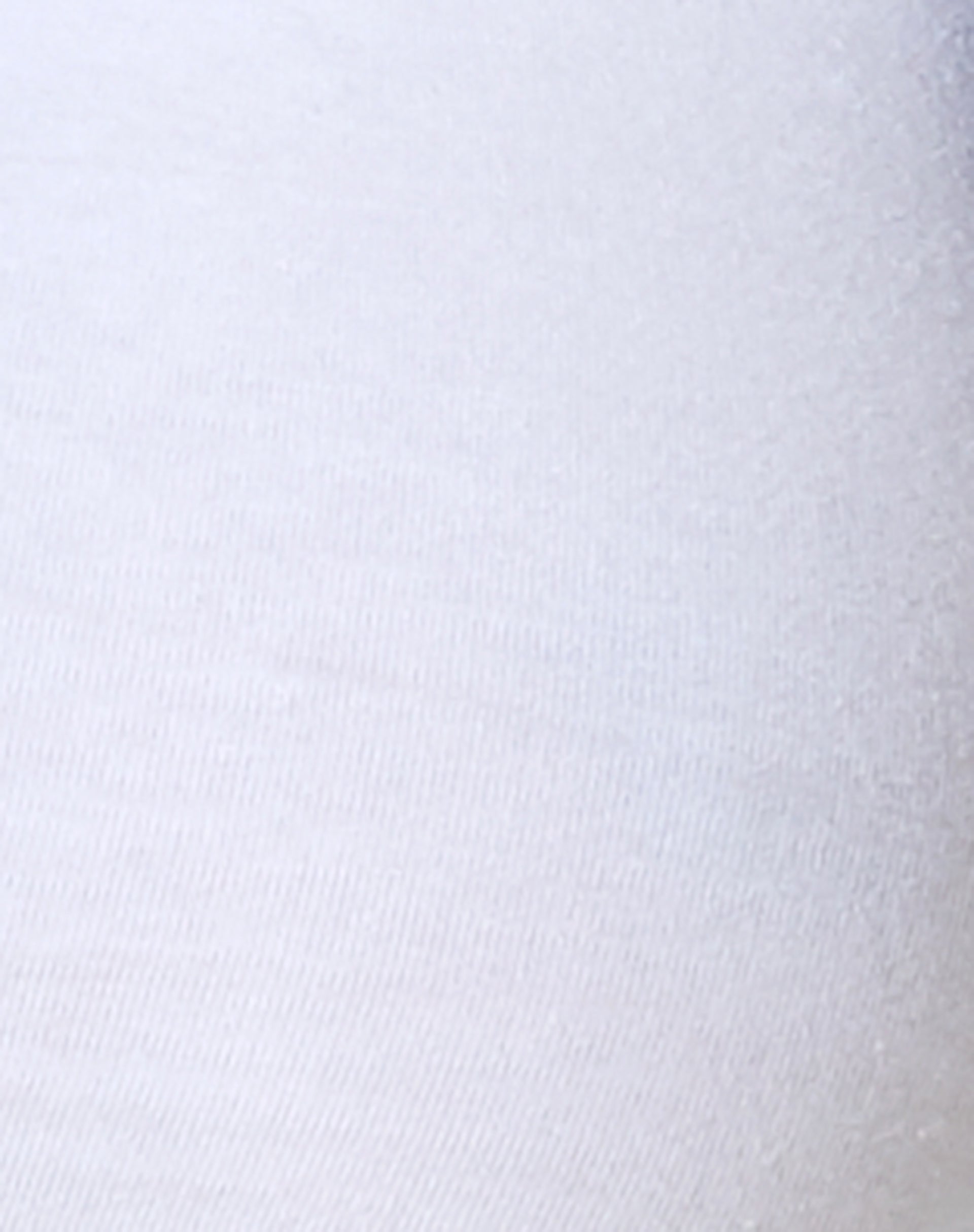 Biase Crop Top in White-Nico Sky