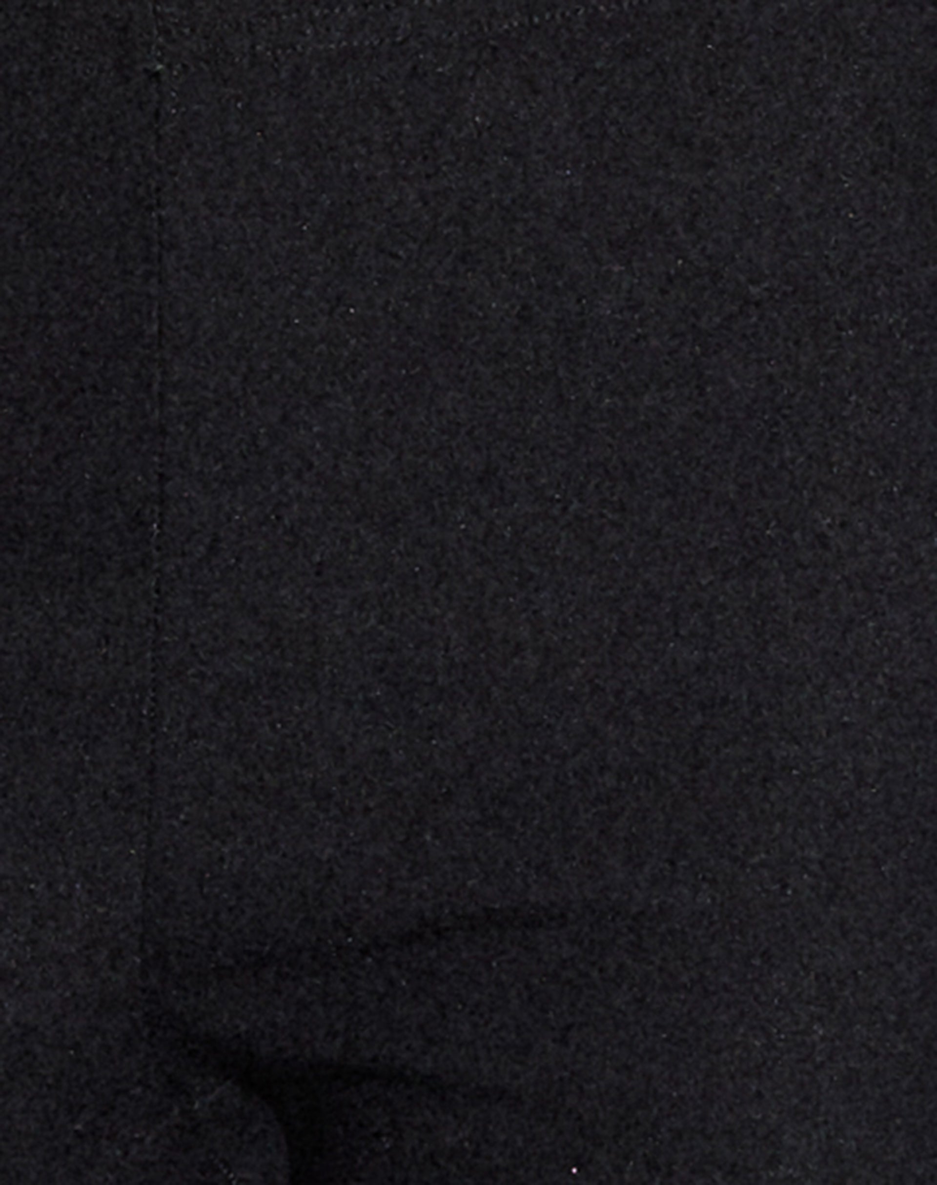 Shine Capri Pants in Black Lycra-Nico Sky