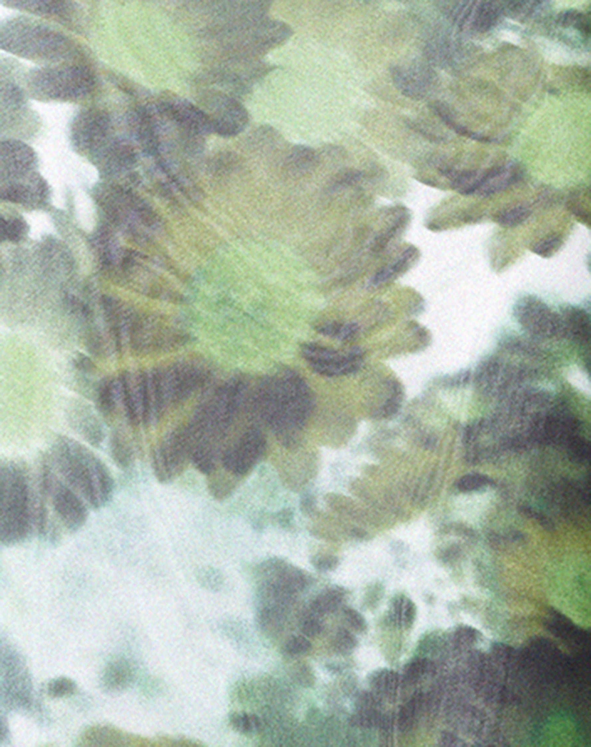 Chanda Maxi Dress in Xray Blurred Daisy Green-Nico Sky