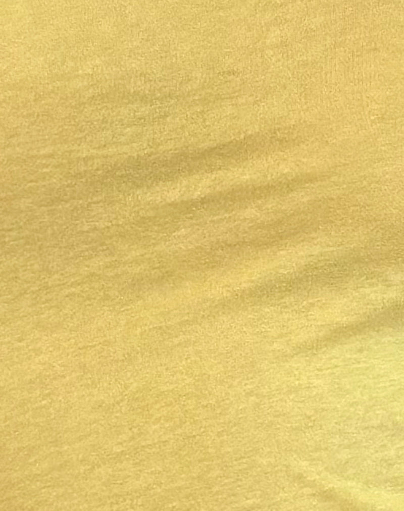 Charya Off Shoulder Top in Lemonade-Nico Sky