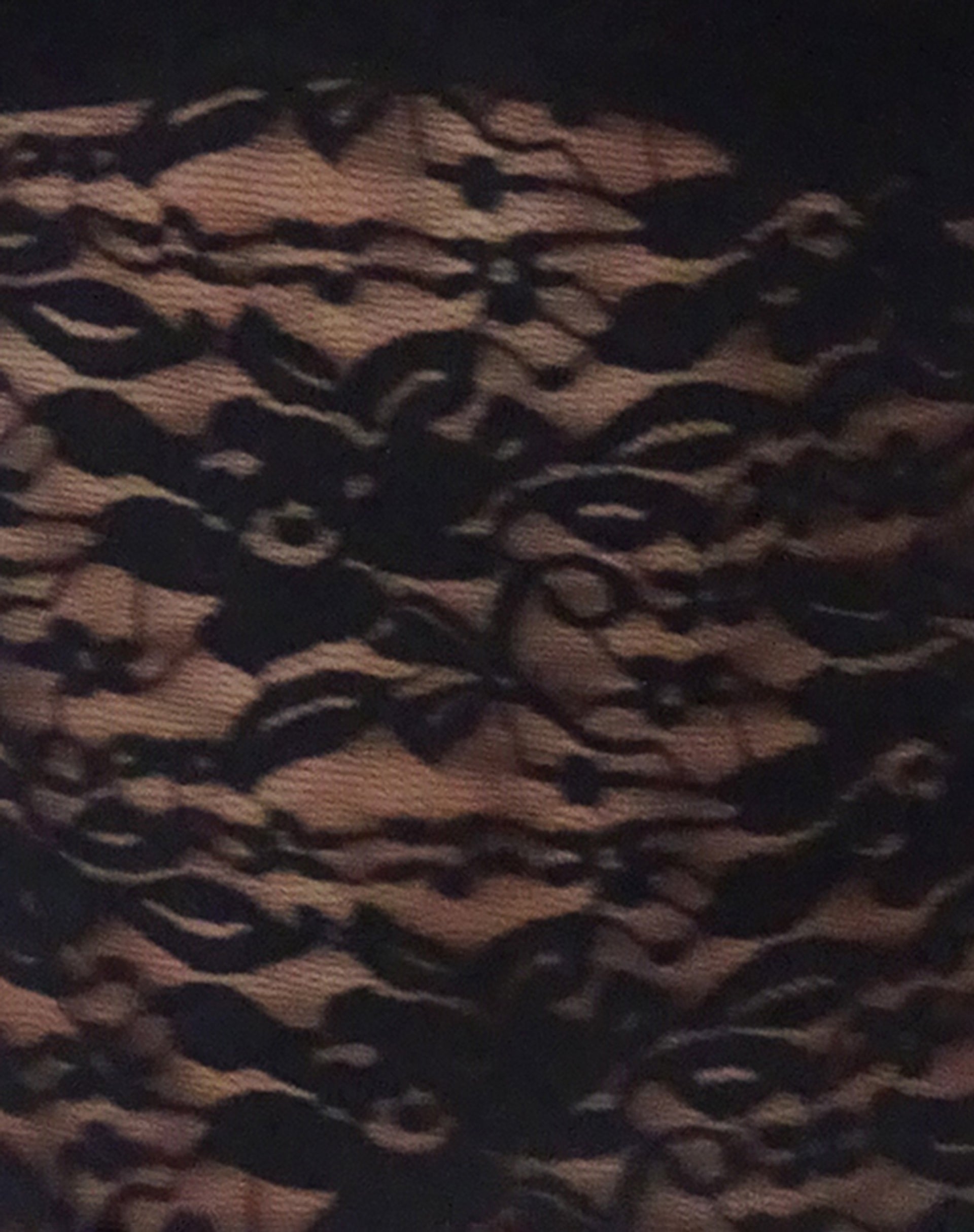 Dwira Lace Vest Top in Black-Nico Sky