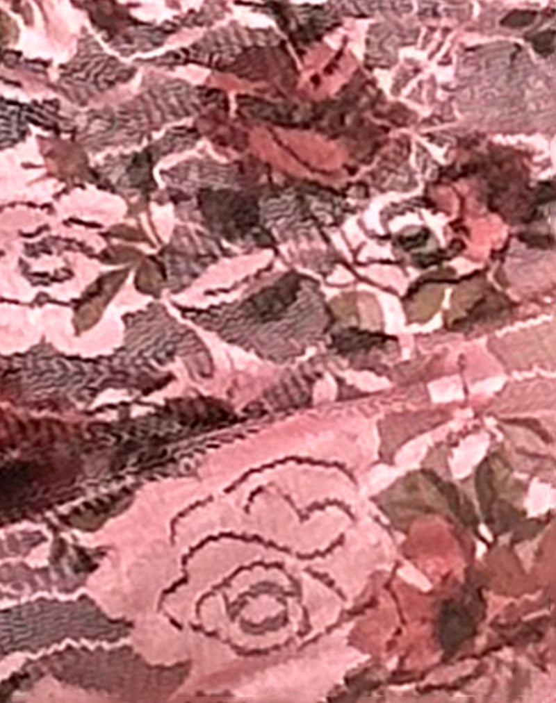 Erna Micro Shorts in Pink Lace Floral Bloom-Nico Sky