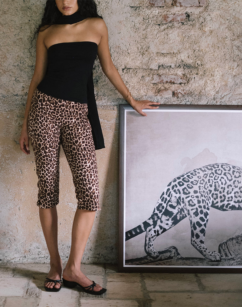 Japri Pushers in Rar Leopard Sandstorm-Nico Sky