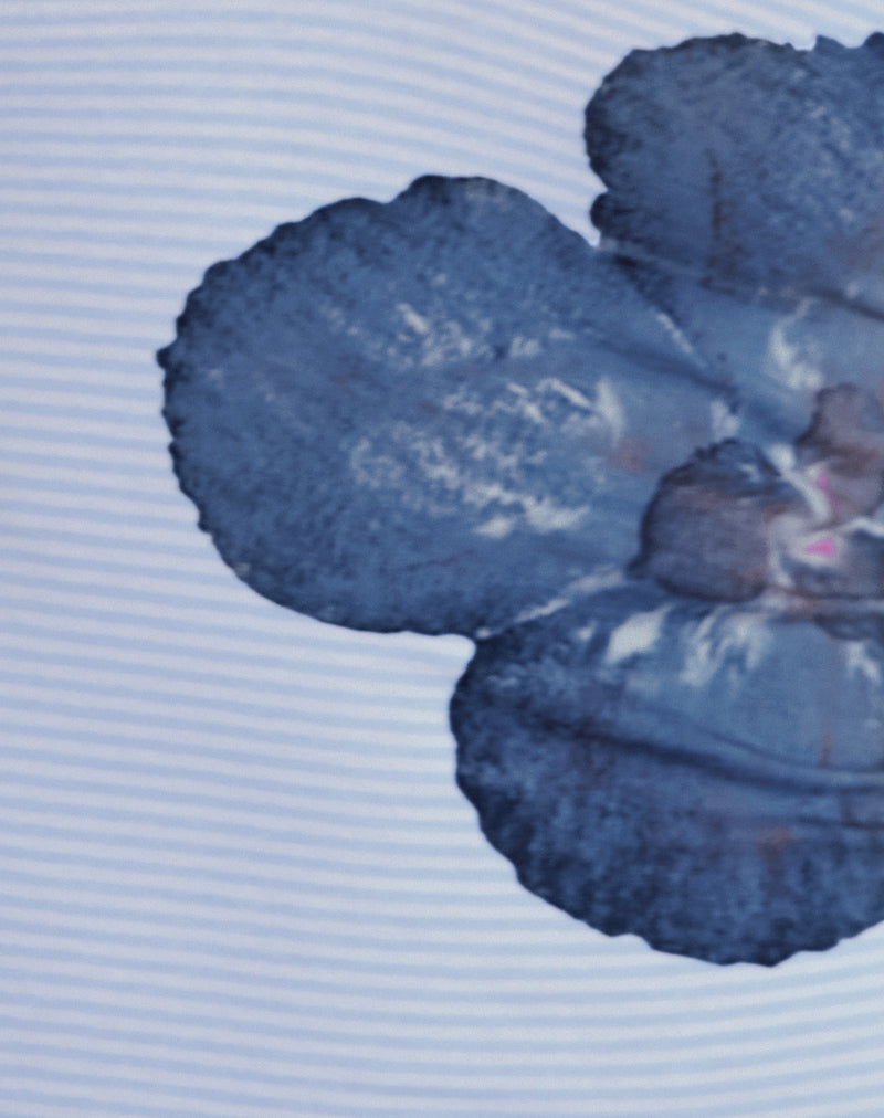 Jules Top in Stripe Floral Baby Blue-Nico Sky