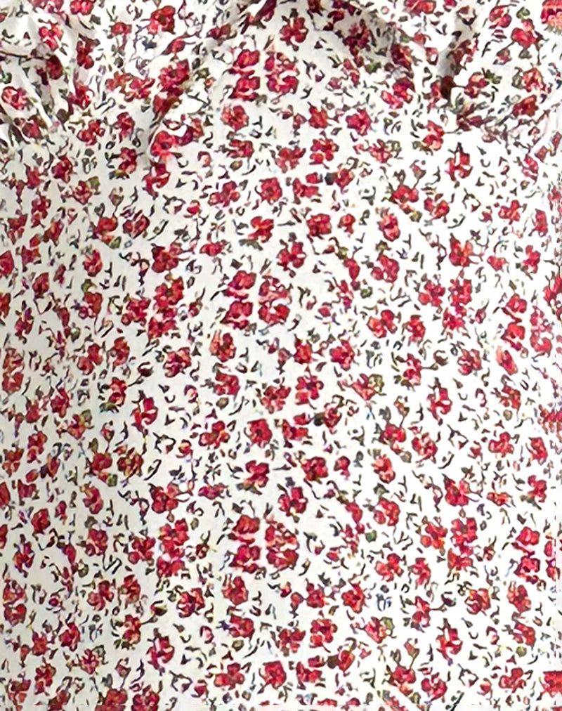 Lavisha Midi Dress in Pretty Ditsy-Nico Sky