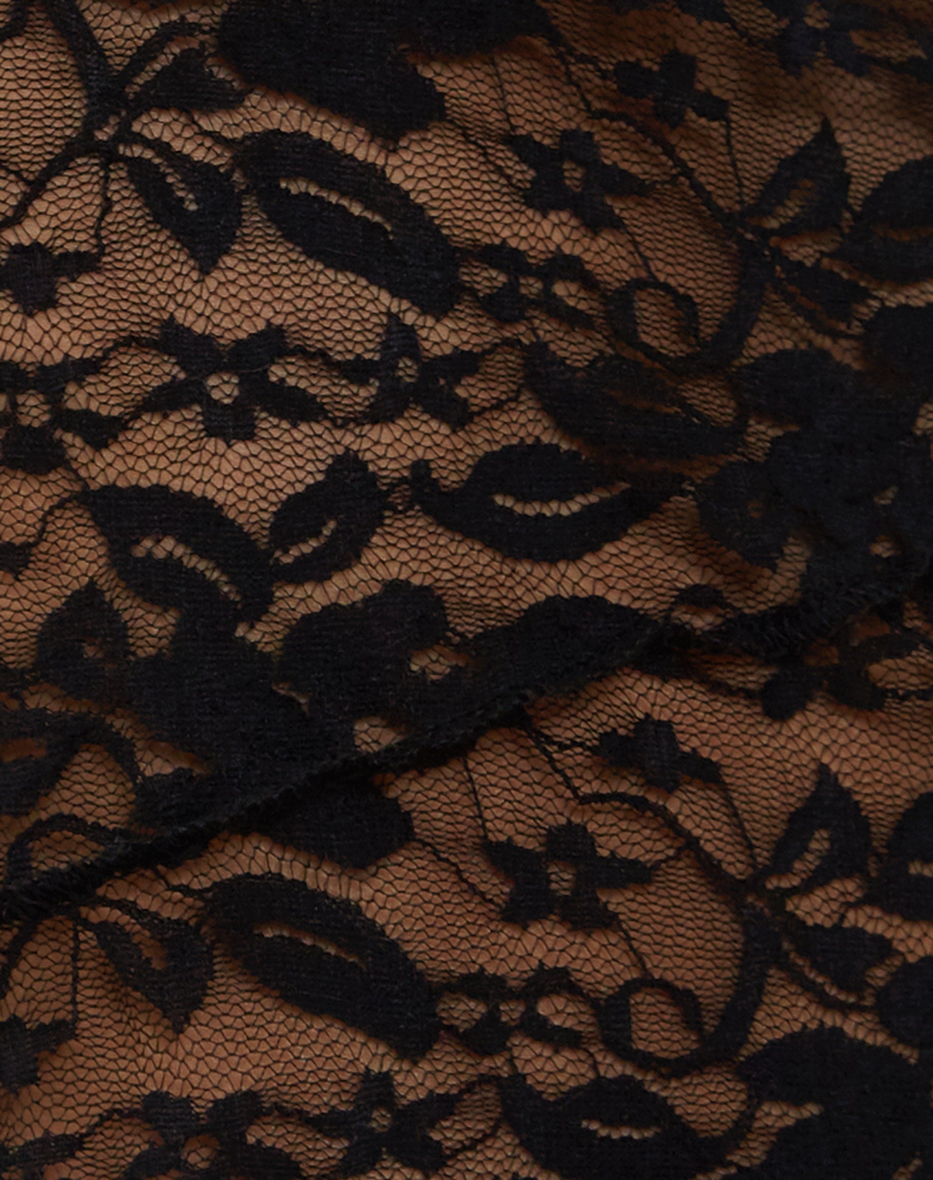 Lubica Long Sleeve Top in Lace Black-Nico Sky