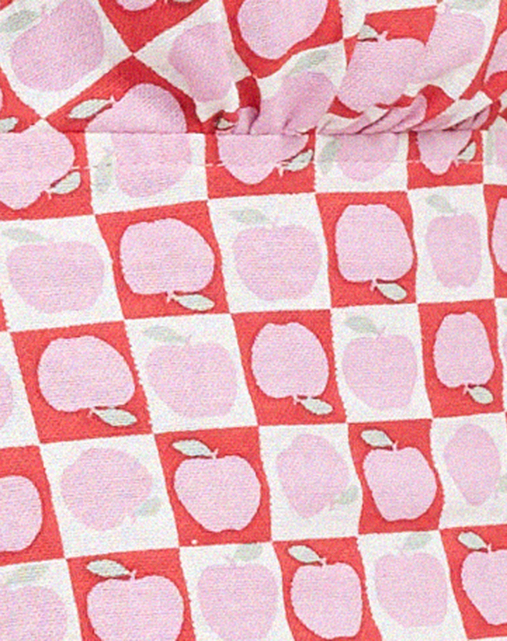 Haenji Crop Top in Apple Check Blush Red-Nico Sky