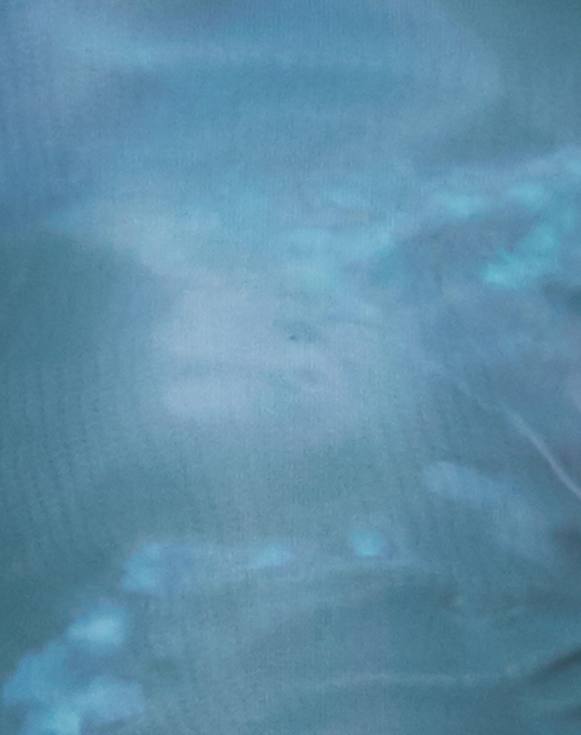 Maloe Mesh Top in Floral Lumen-Nico Sky