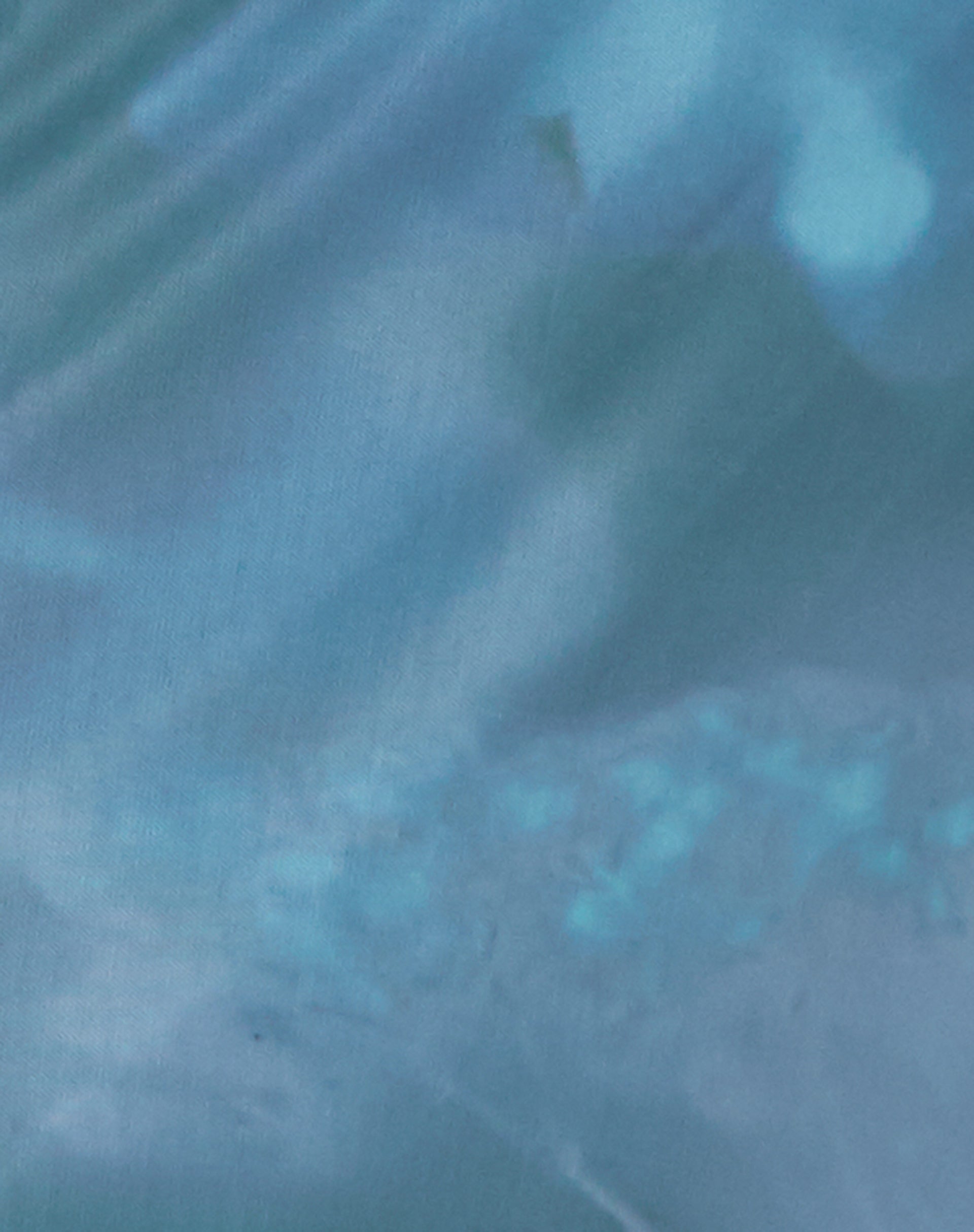 Nola Maxi Skirt in Lumen Floral Blue-Nico Sky