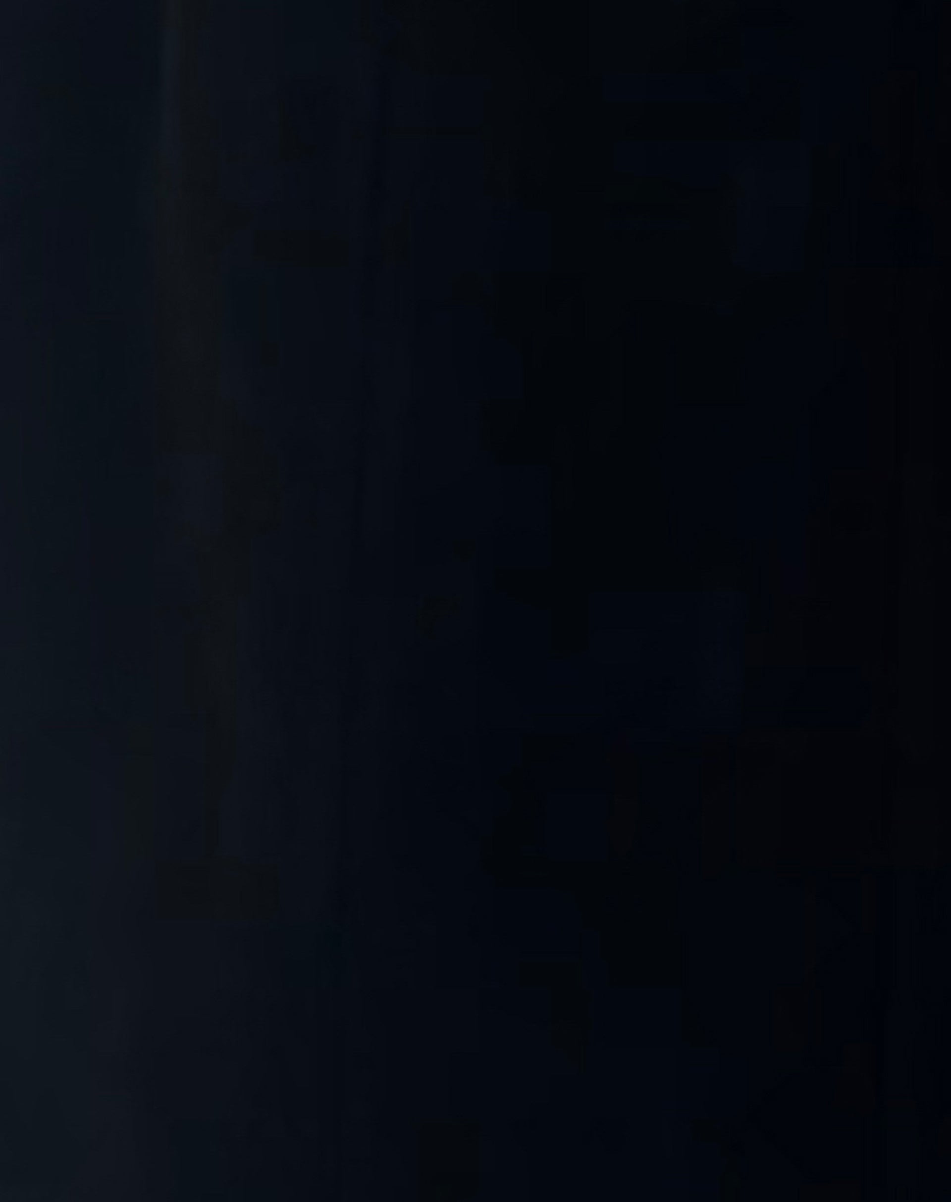 Melani Longline Coat in Black-Nico Sky