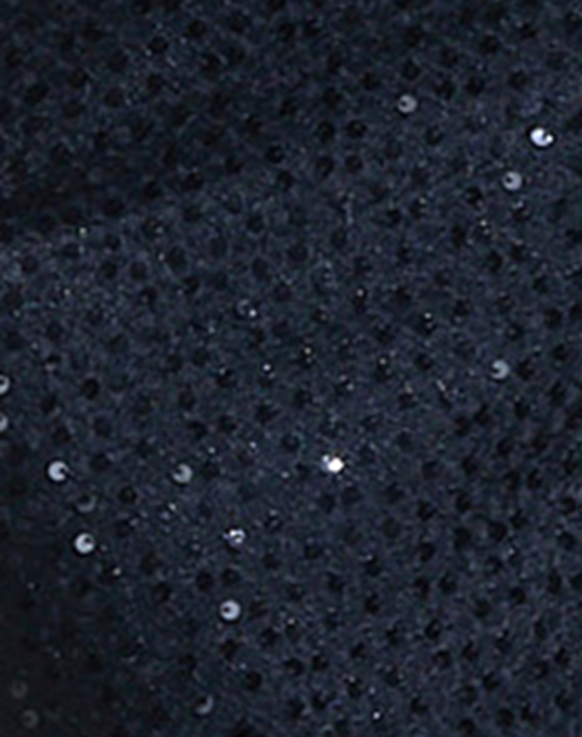 Tresha Maxi Skirt in Sequin Knit Black-Nico Sky