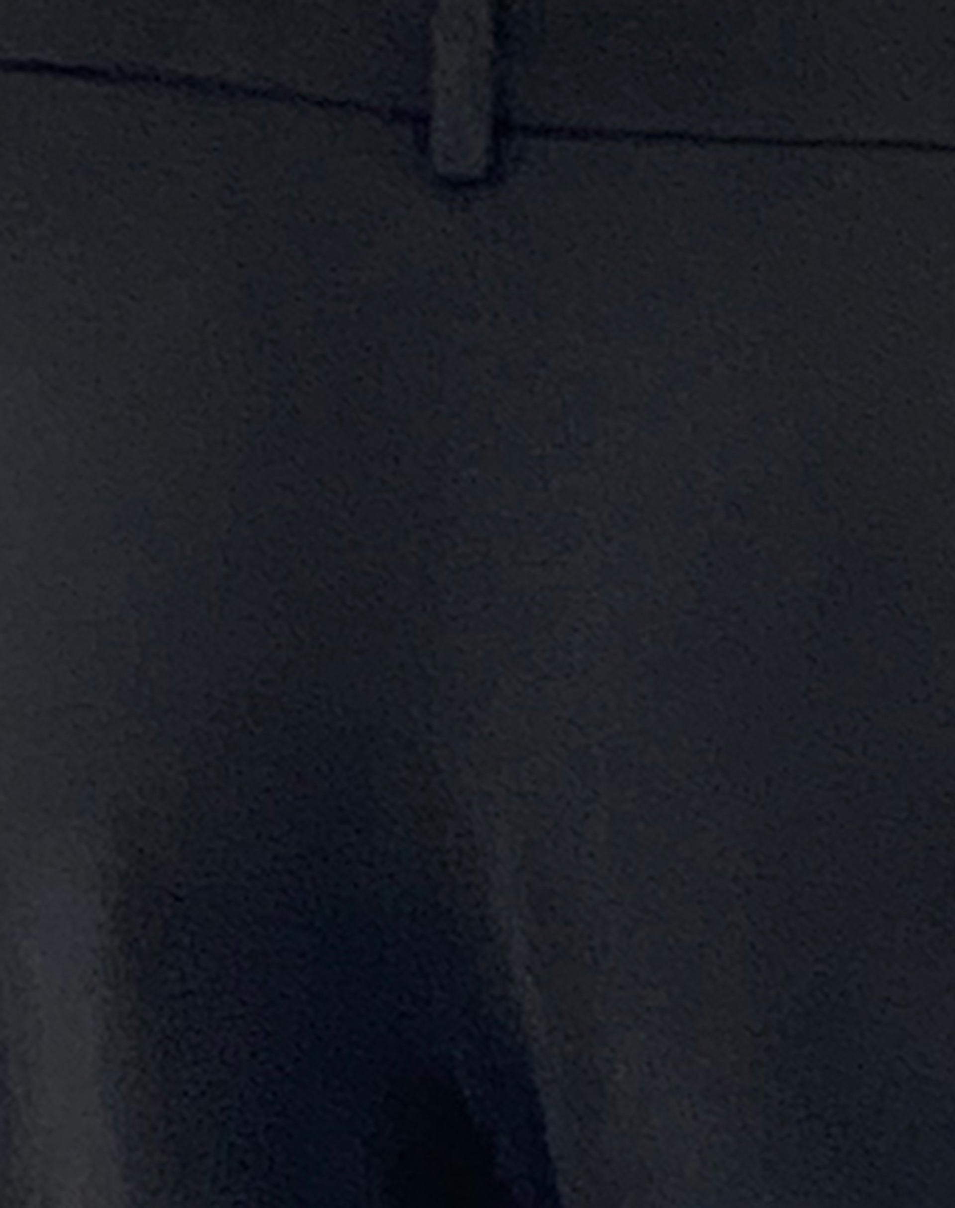 Nailaka Low Rise Wide Leg Tailored Trouser in Black-Nico Sky