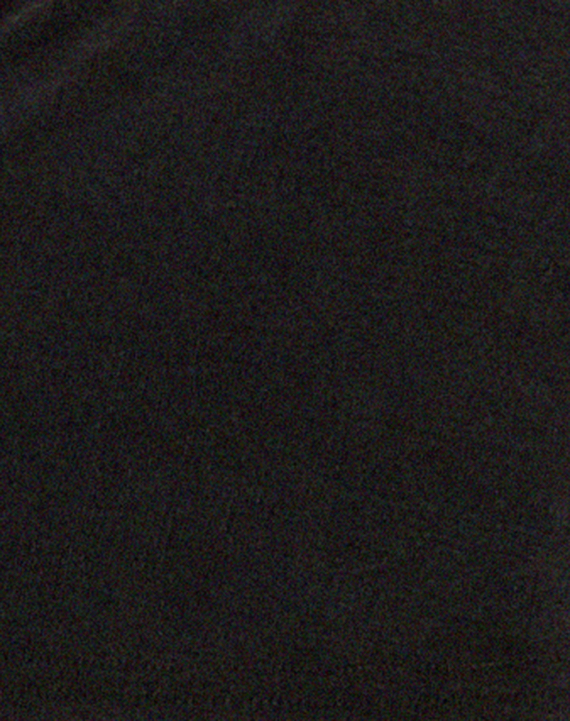 Neetu Crop Top in Black-Nico Sky