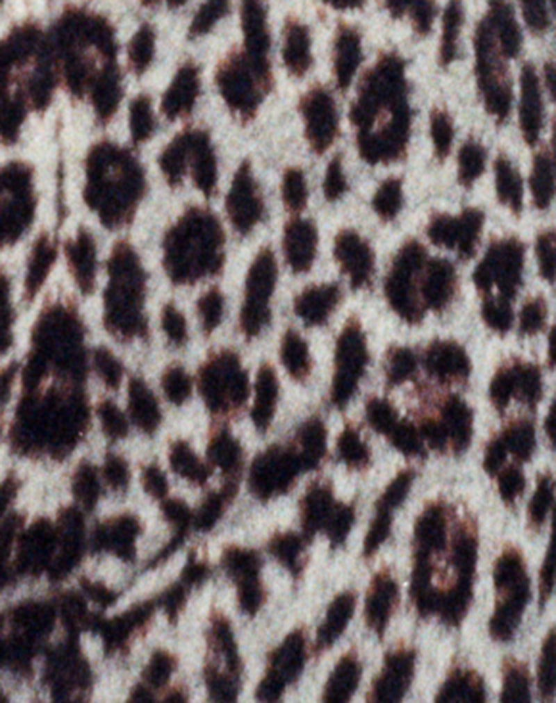 Nikaya Short in True Leopard Brown-Nico Sky