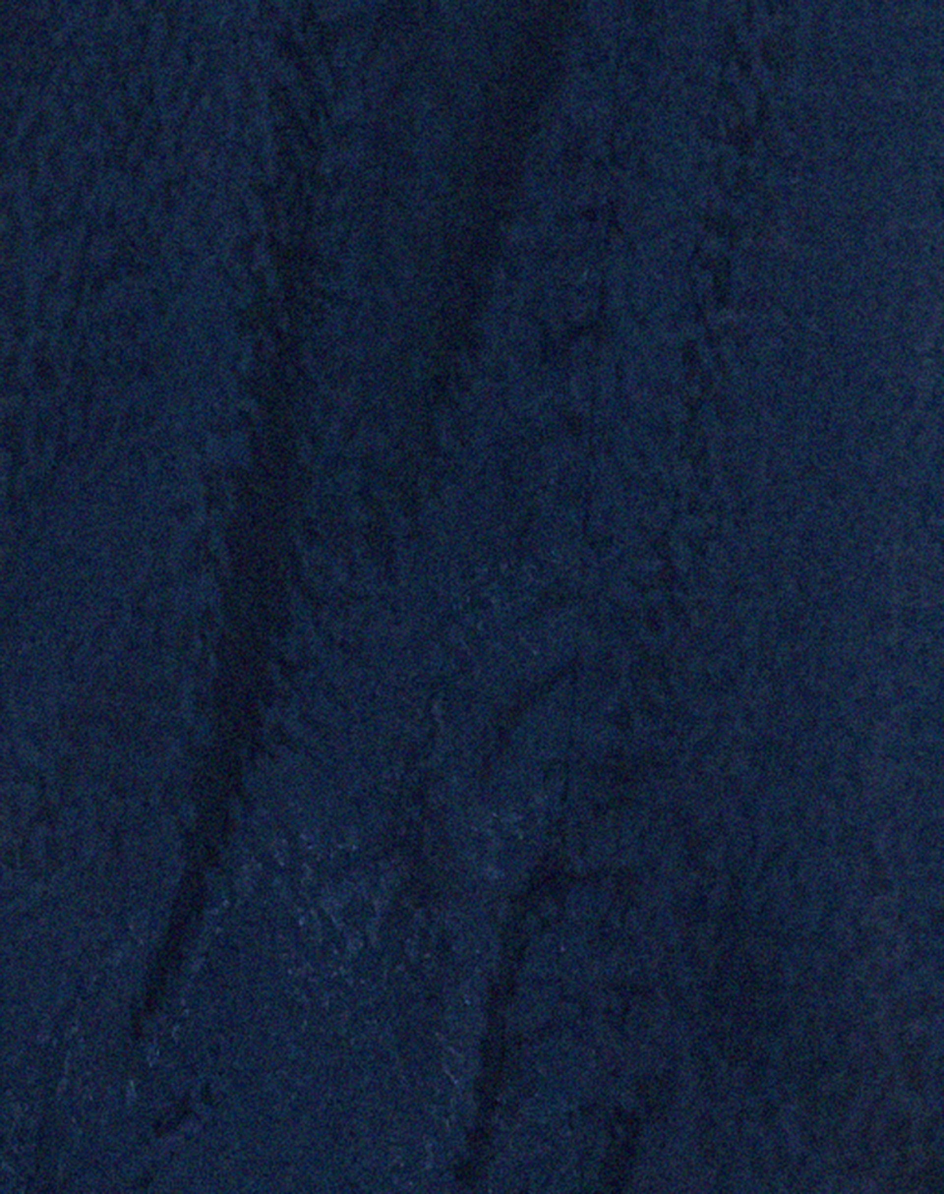 Nosita Midi Dress in Satin Cheetah Navy-Nico Sky