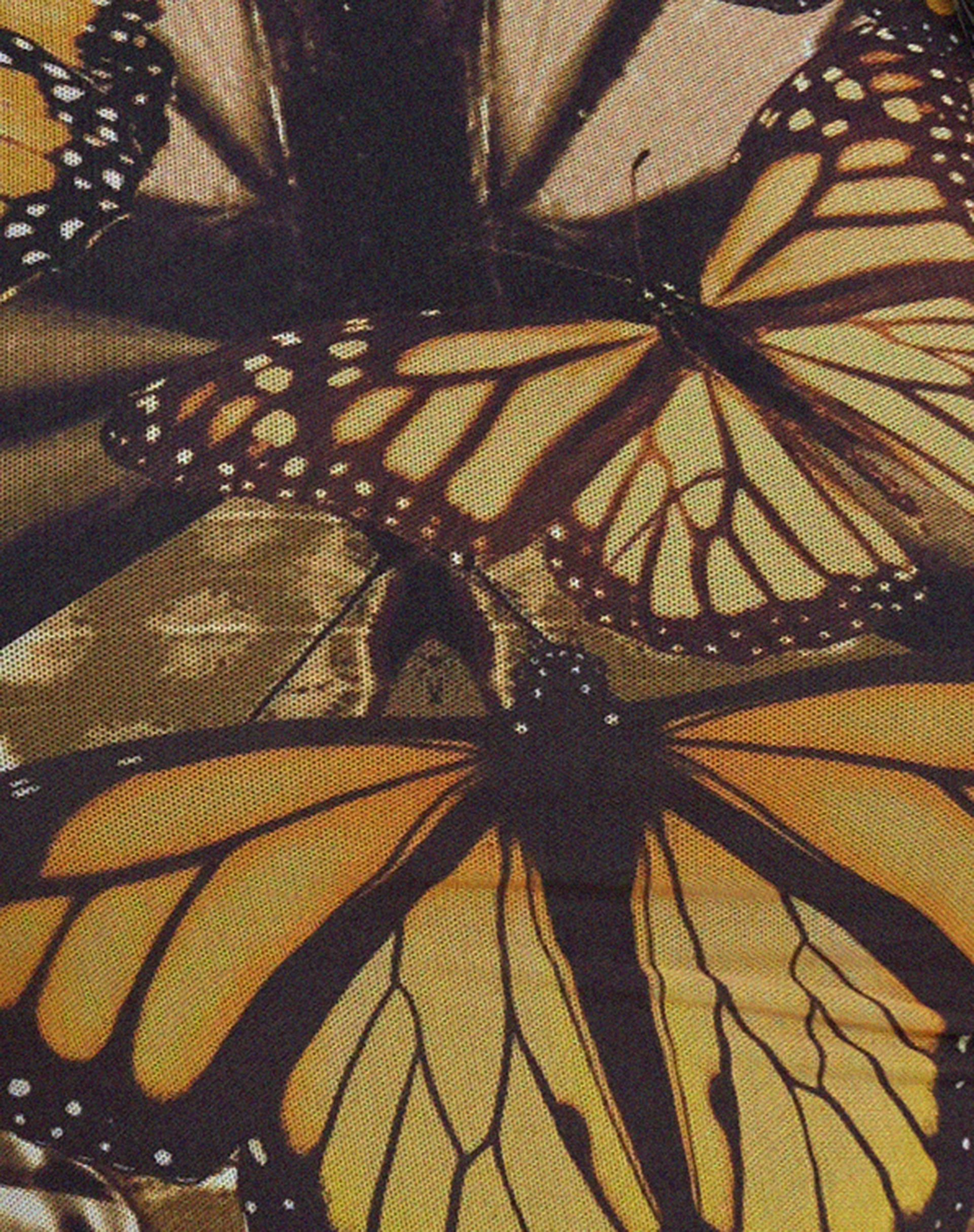 Onata Long Sleeve Mini Dress in Butterfly Gold-Nico Sky