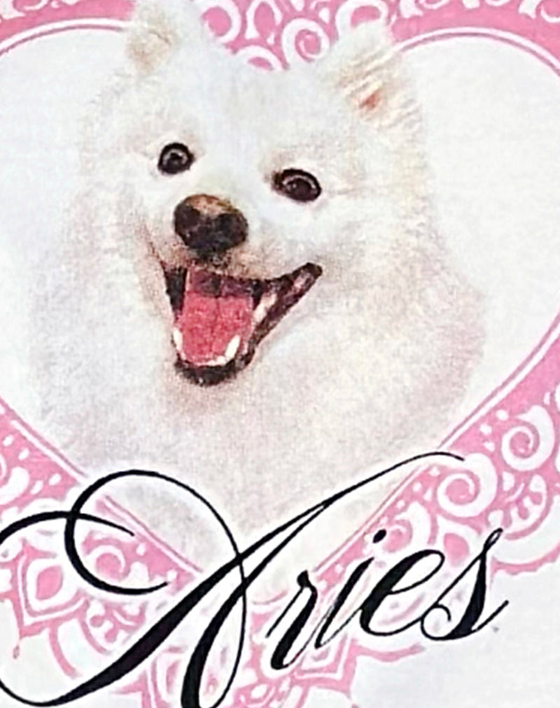 Oversize Basic Tee in White with Aries Motel Pet Print-Nico Sky