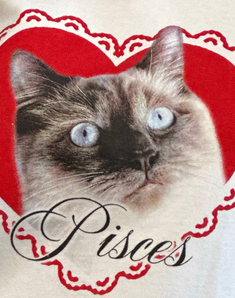 Oversized Basic Tee in White with Pisces Motel Pet-Nico Sky