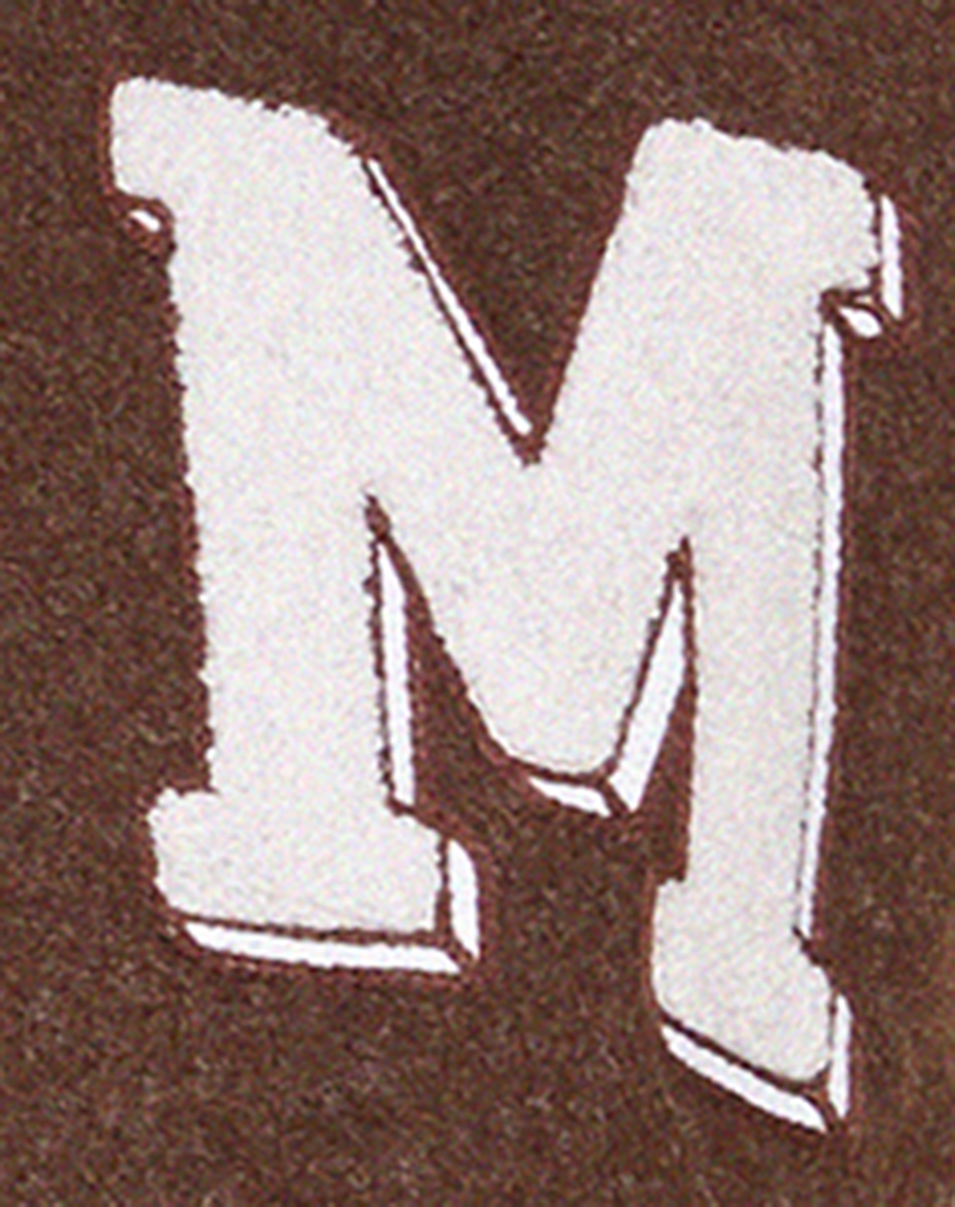 Bama Varsity Jacket in Brown Beige-Nico Sky