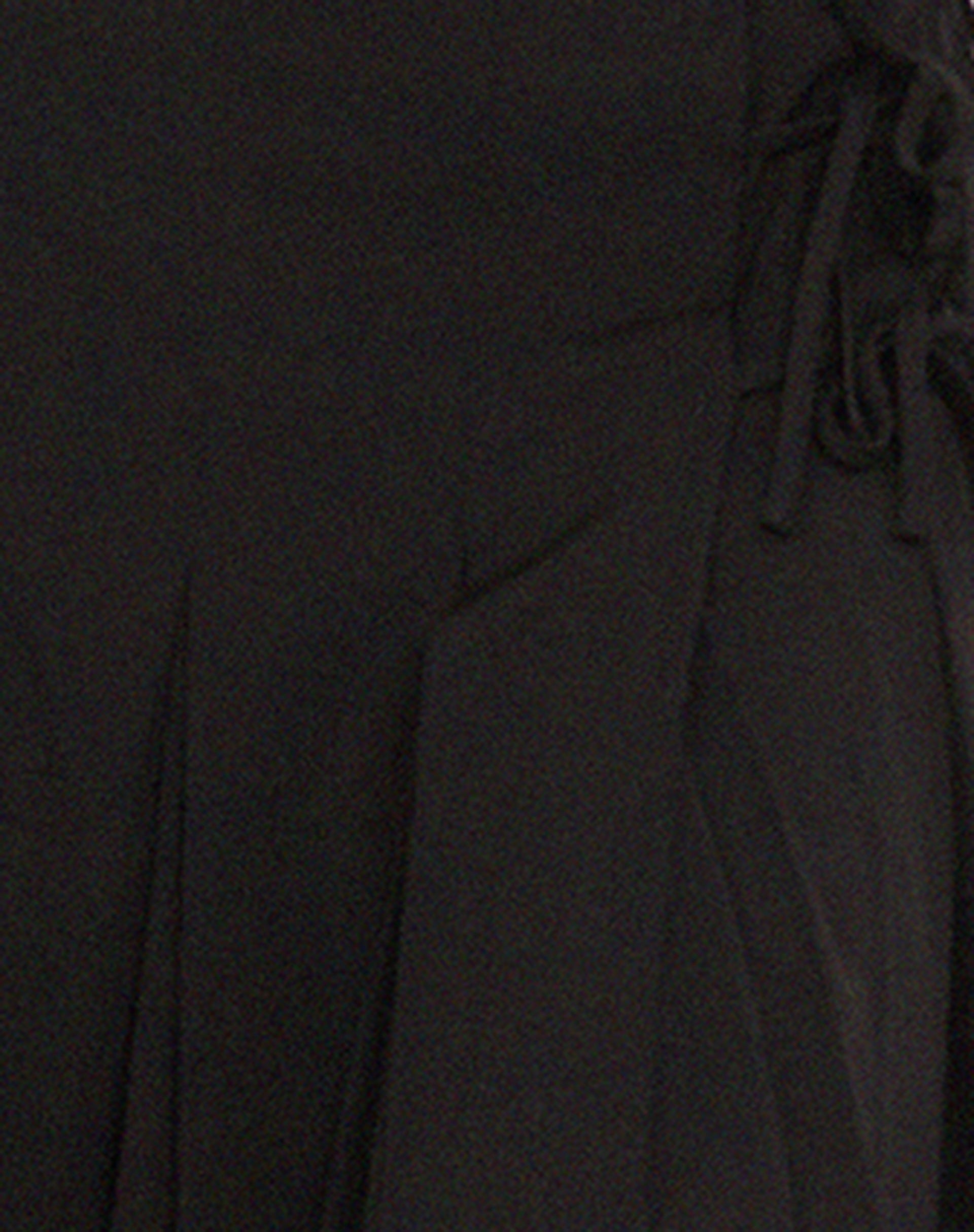 Madelyn Pleated Midi Skirt in Black-Nico Sky