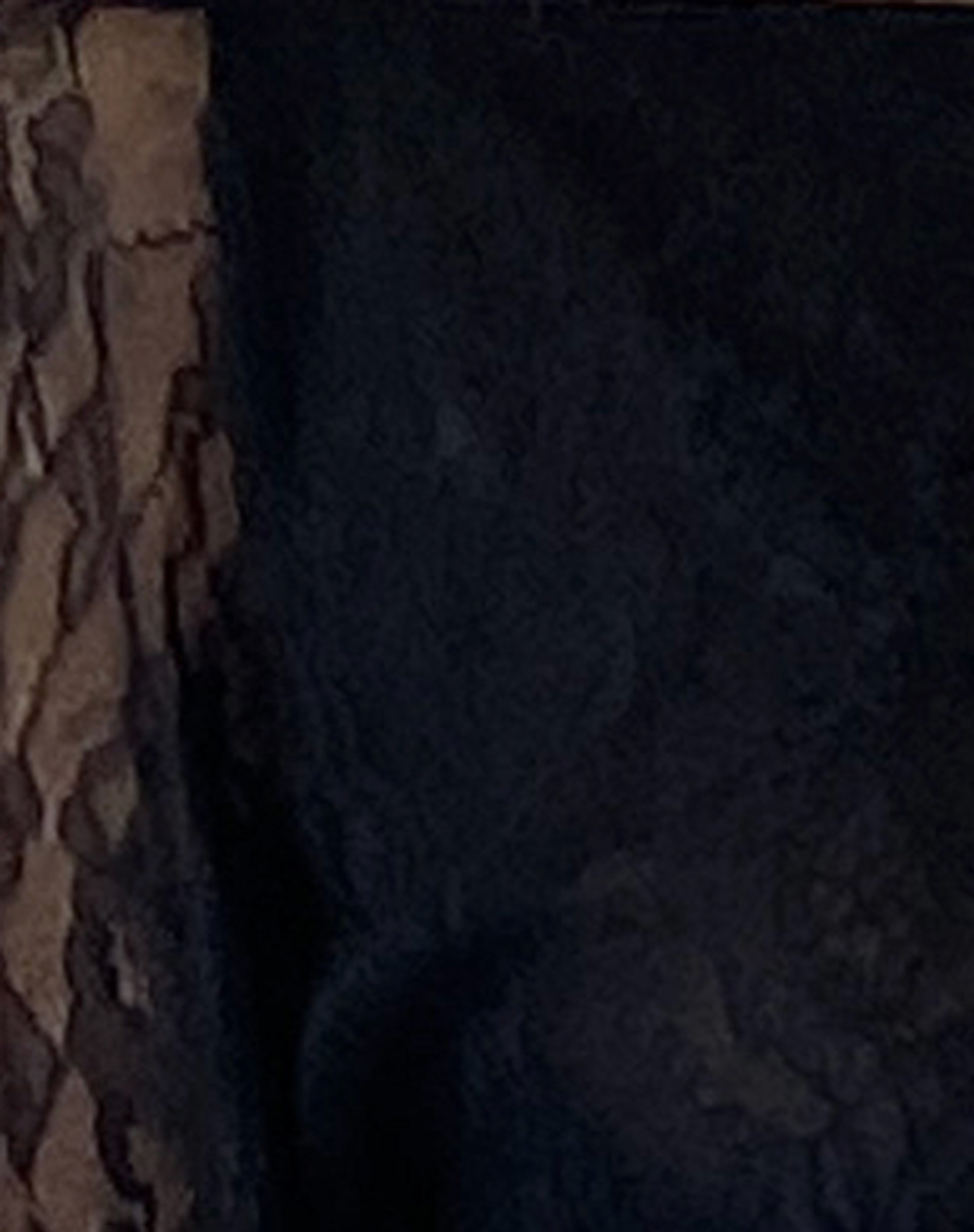 Rory Long Sleeve Lace Top in Black-Nico Sky