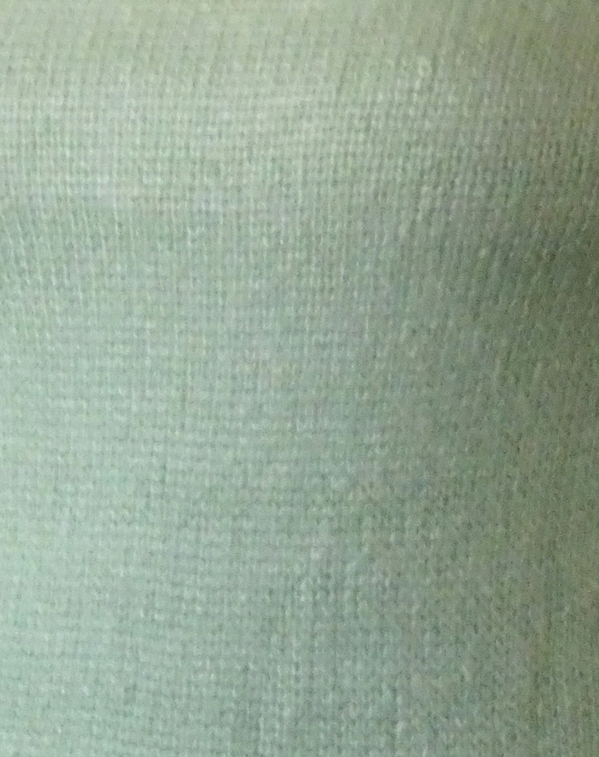 Sukana Long Sleeve Sheer-Knit Top in Light Green-Nico Sky