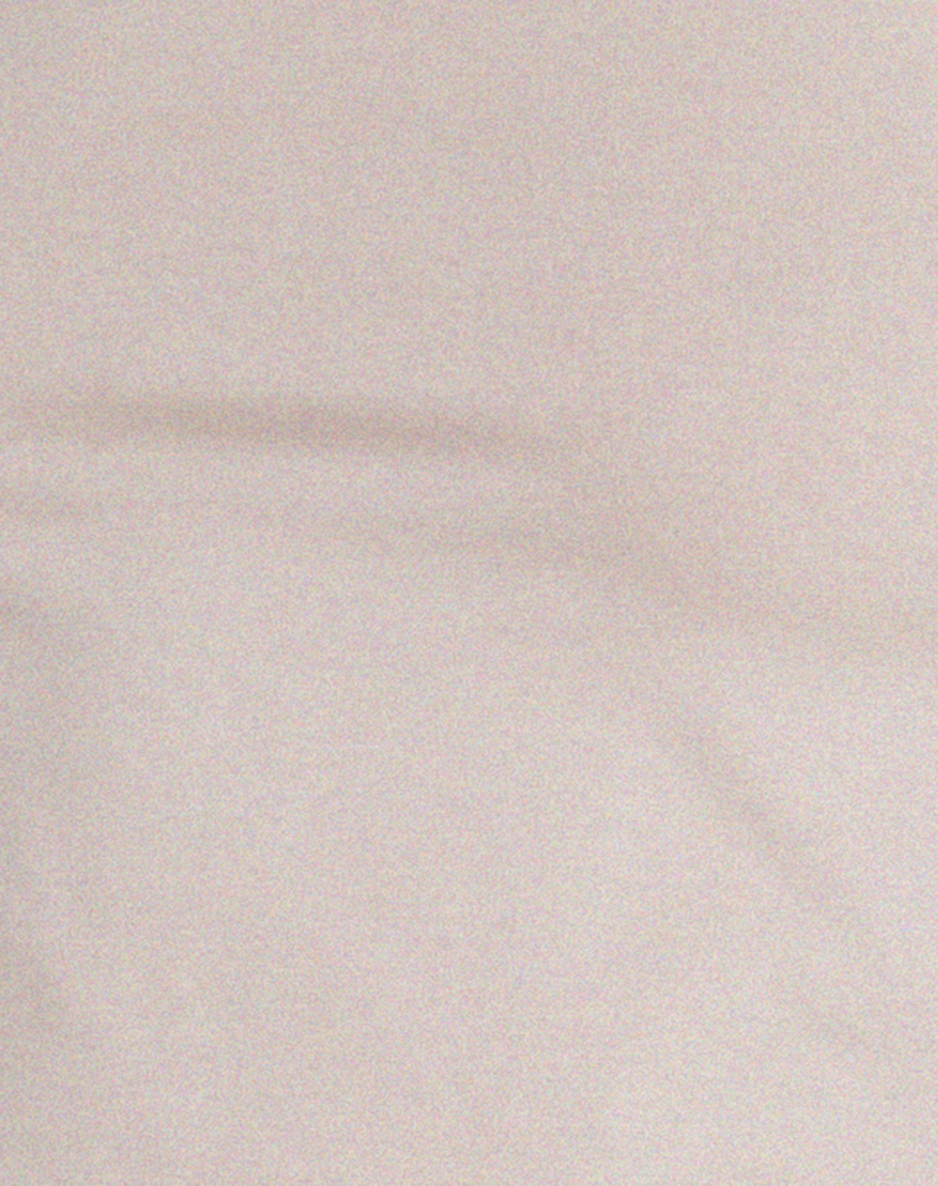 Suratmi Long Sleeve Top in Mushroom-Nico Sky