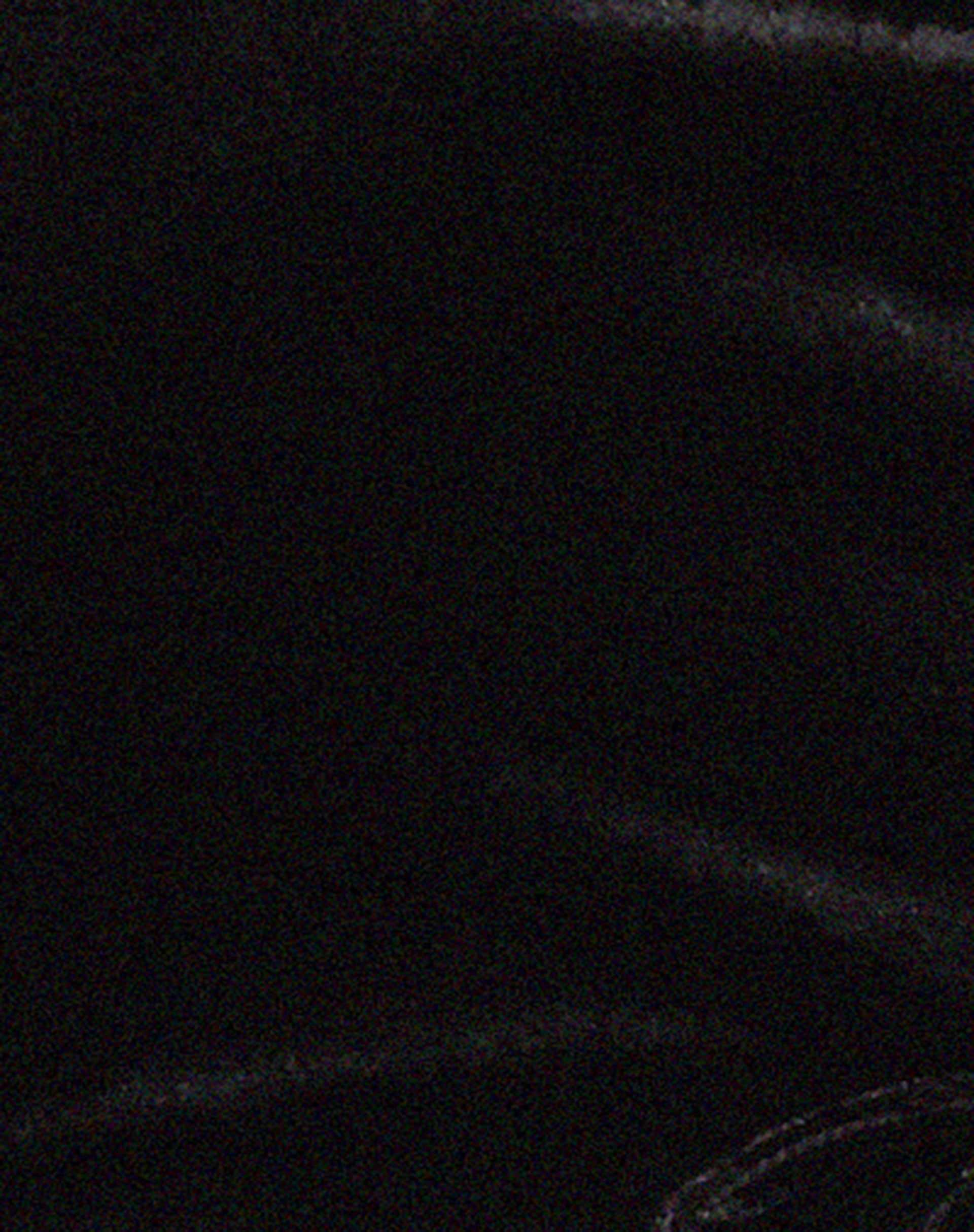 Taula Cropped Corset Top in Black Velvet-Nico Sky