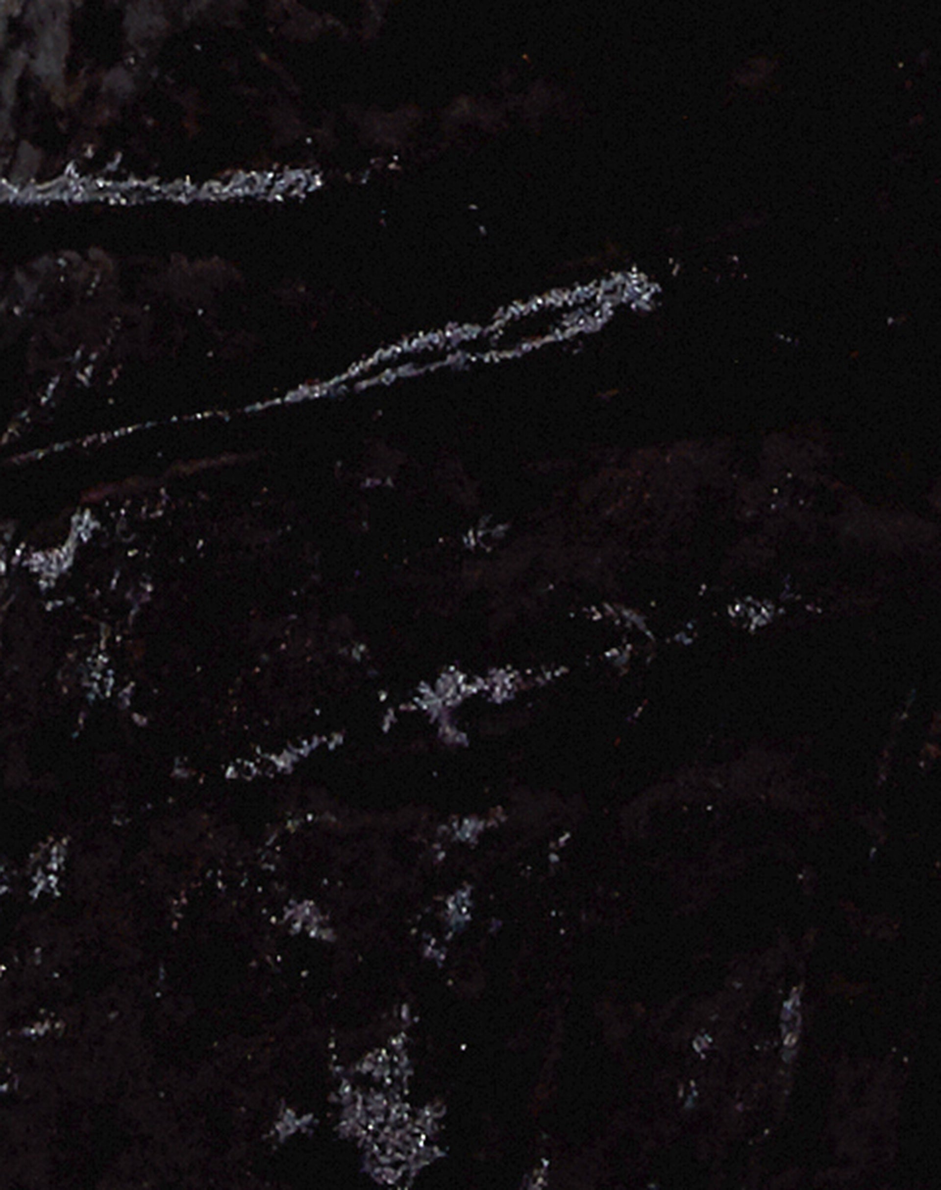 Traisa Crop Top in Velour Black-Nico Sky